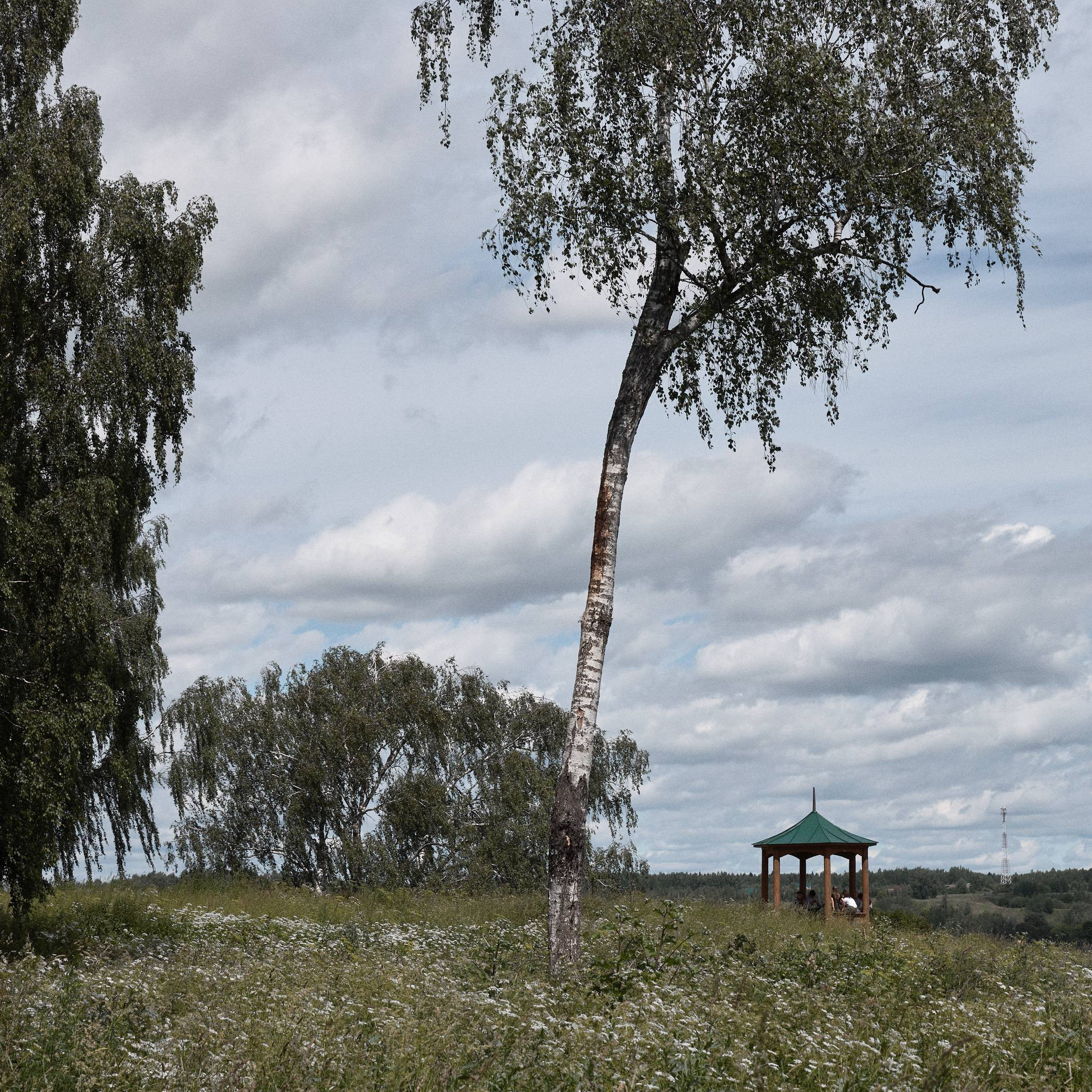 Окружение. Денис Паунин — Фотографии