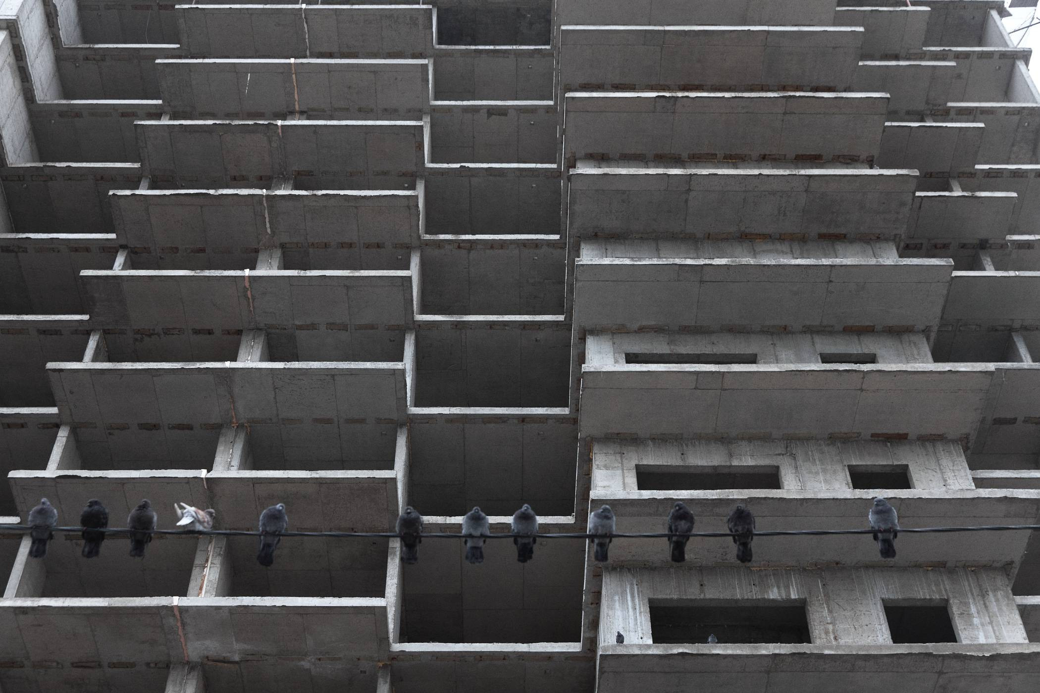 Окружение. Денис Паунин — Фотографии