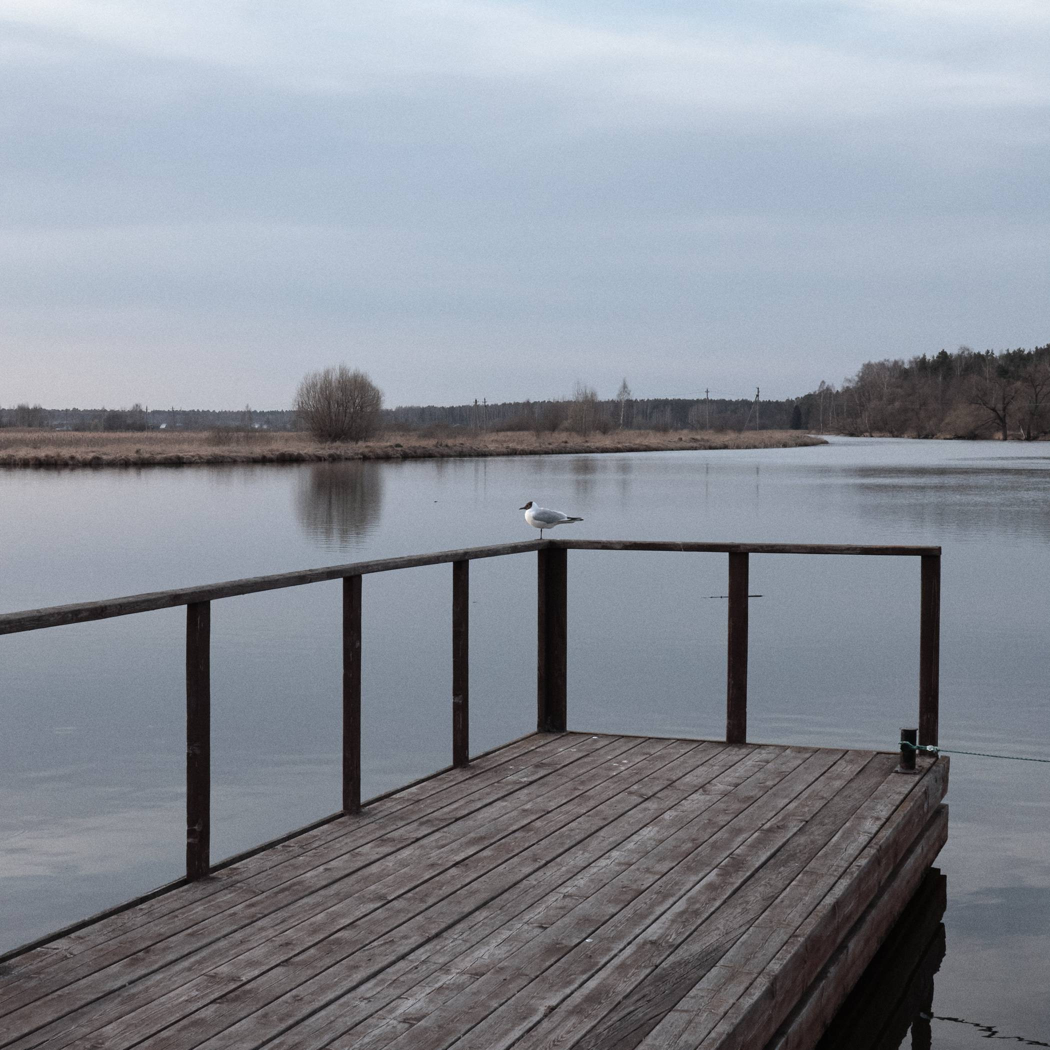 Окружение. Денис Паунин — Фотографии