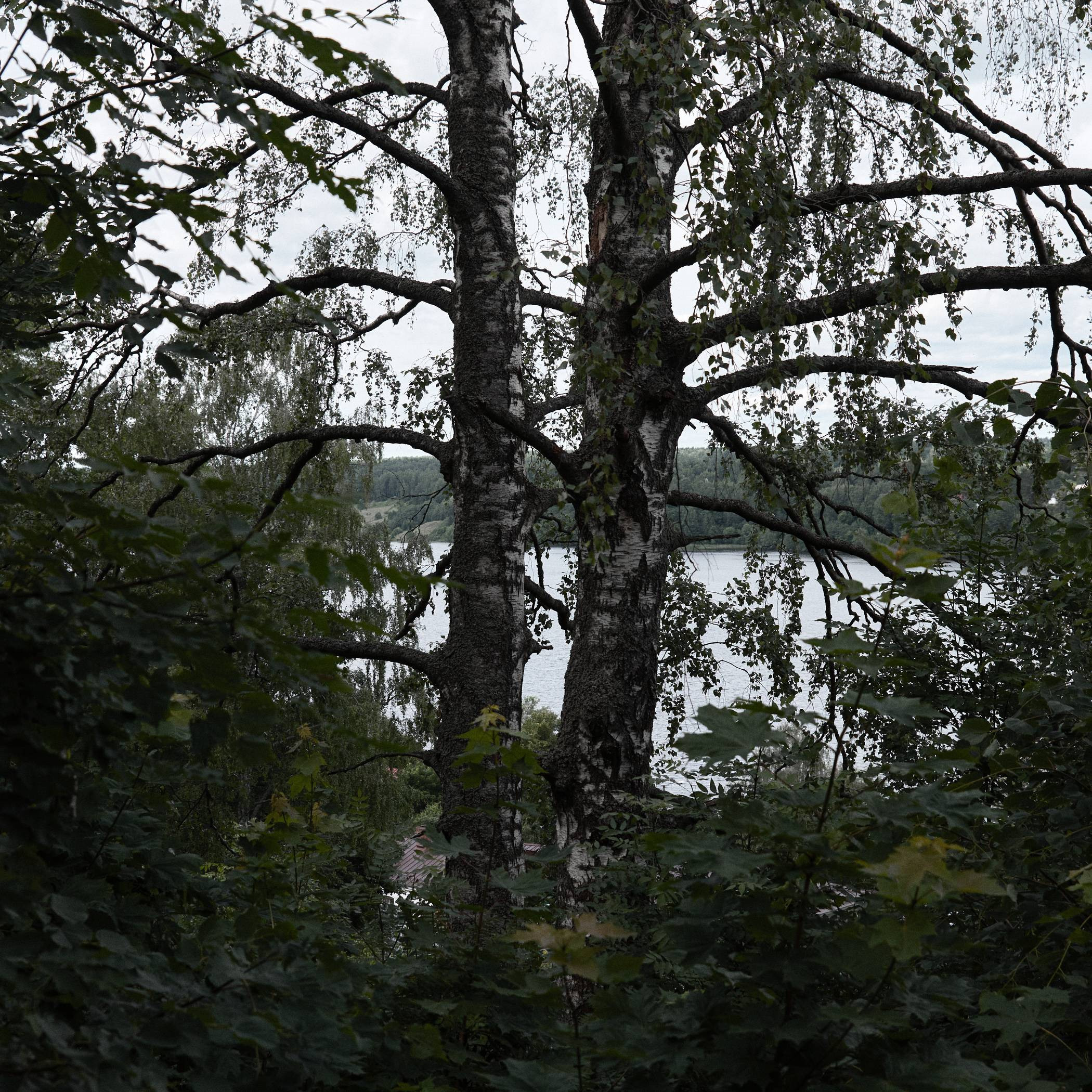 Окружение. Денис Паунин — Фотографии