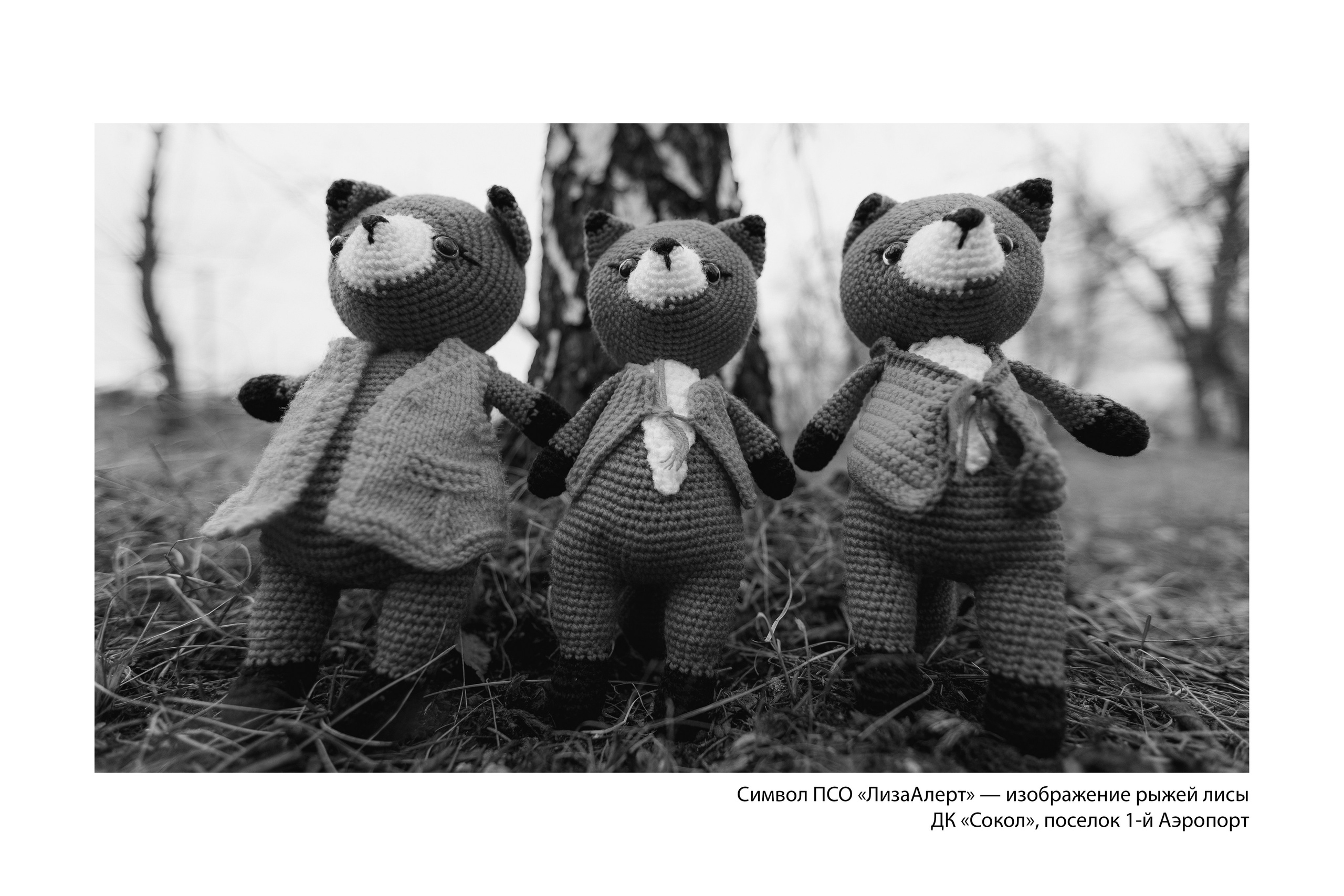 Документальный фотопроект «ЛизаАлерт: вопреки времени». Репортажный фотограф Наталья Лапцевич