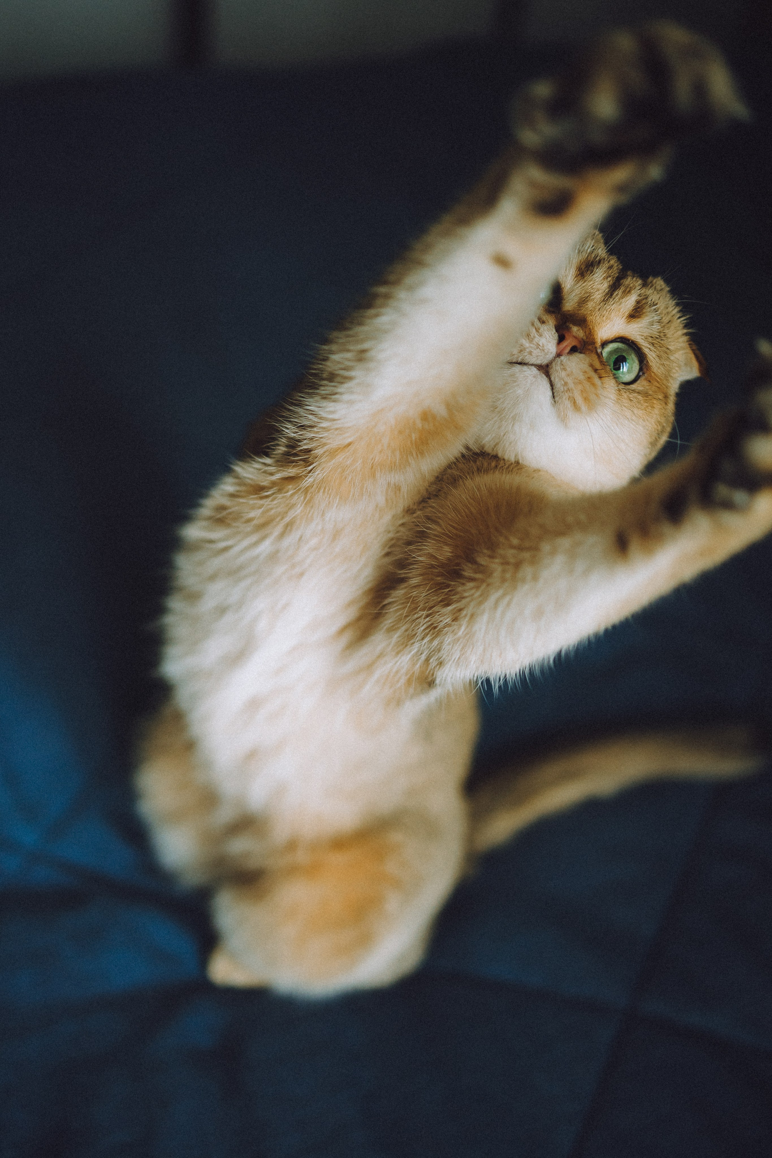 Генри и его семья