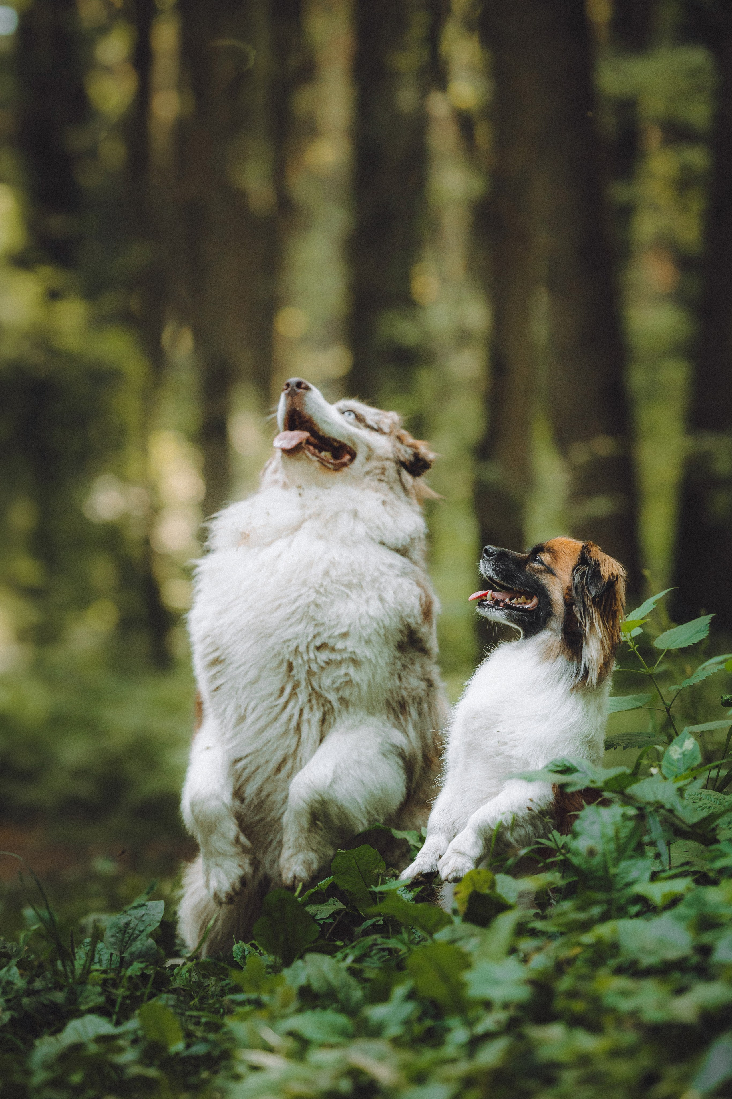 Катя, Андрей, Гектор, Ричи, Тортик и Трой