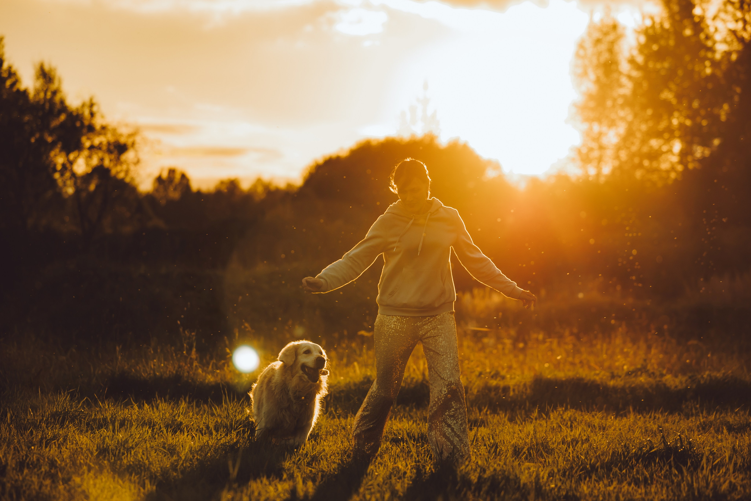 Выездной дог-тренинг от школы «Шерсть имею», Тованово