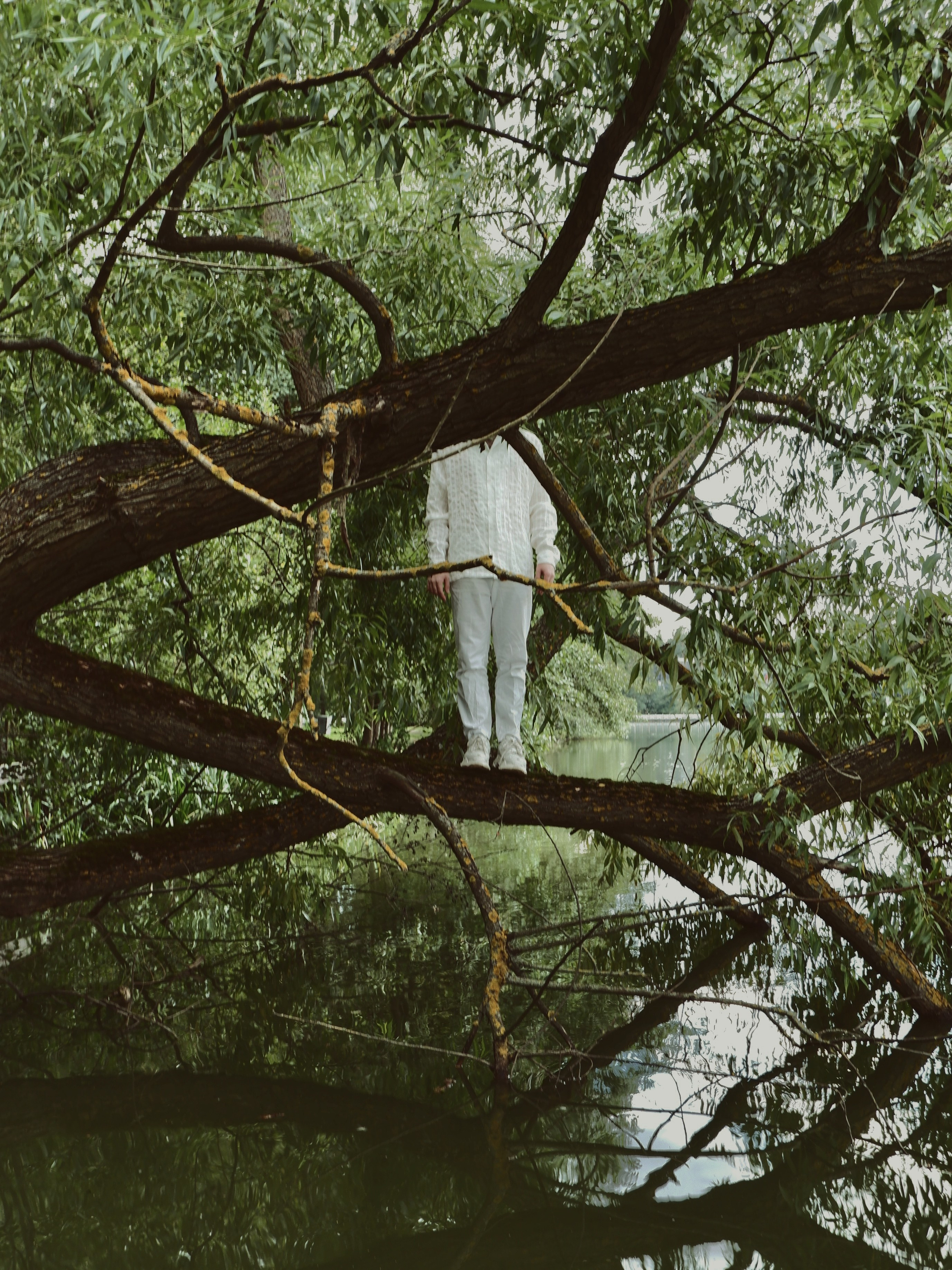 Все фото. Ева Мецгер — фотограф