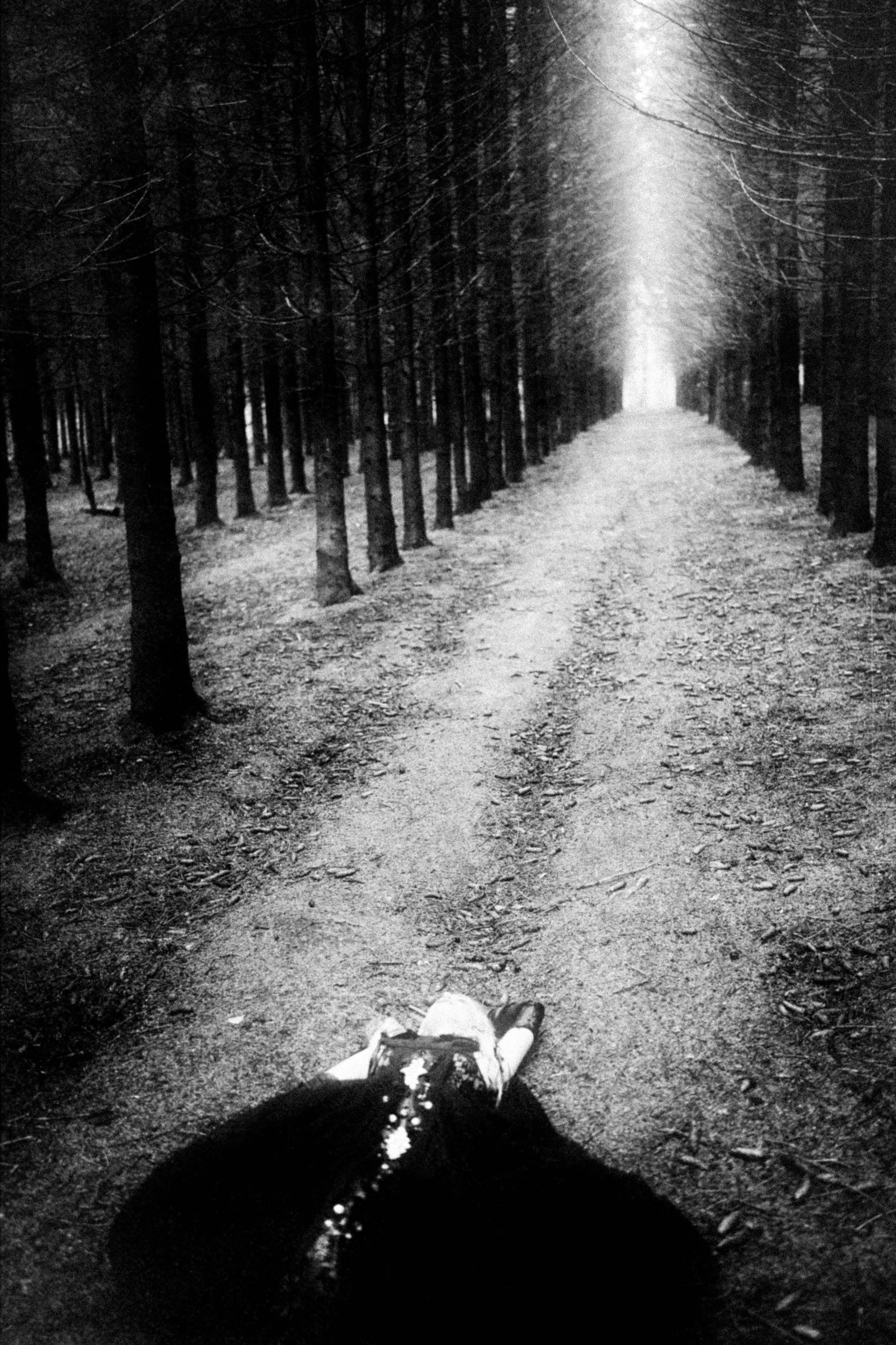 DARK FOREST. Фотограф Julia Nova