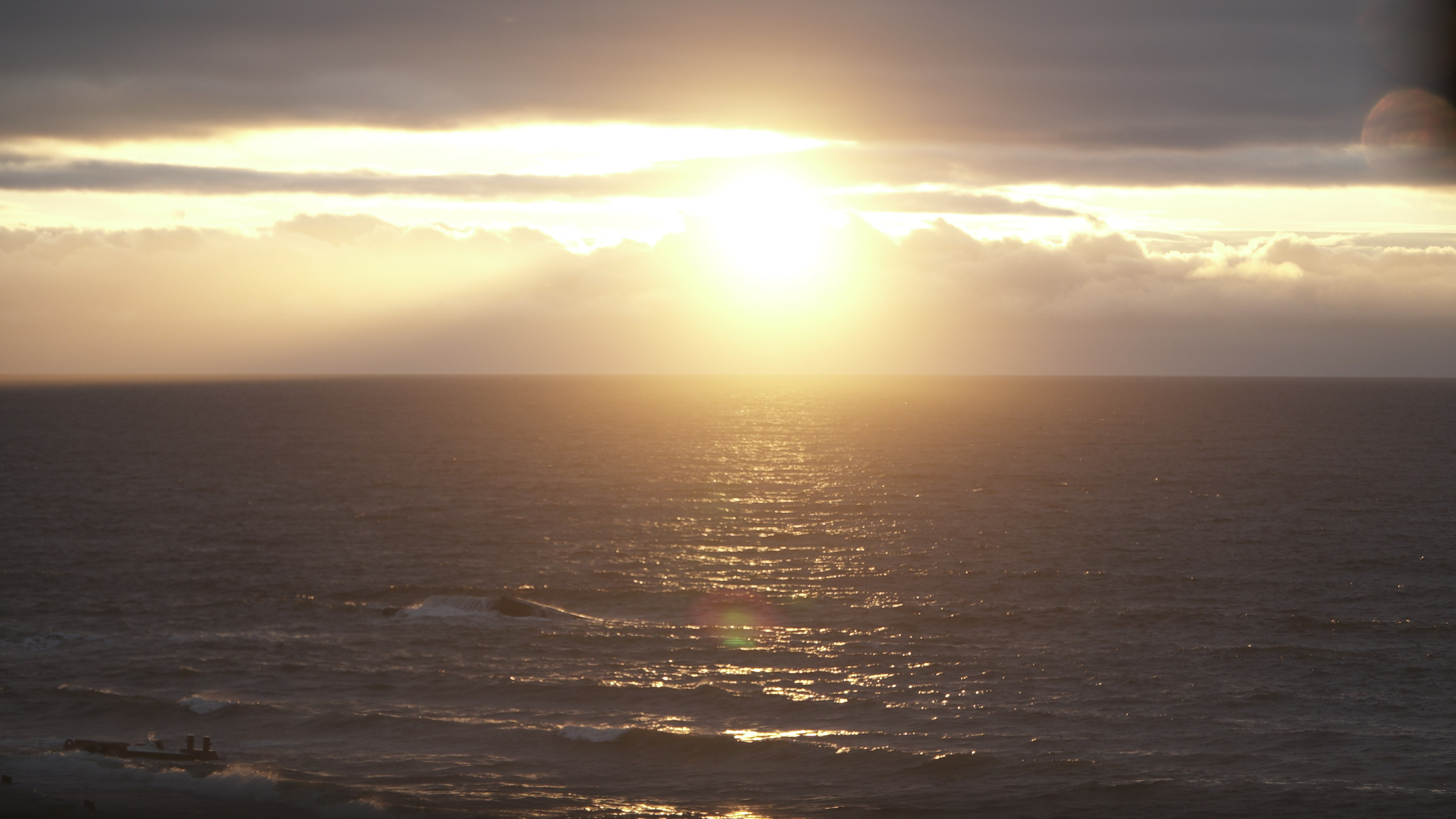 Амдерма — наука (2020 г.). Фотоальбом показывающий увлекательный мир авиации и мир медведей Андрея Иванова