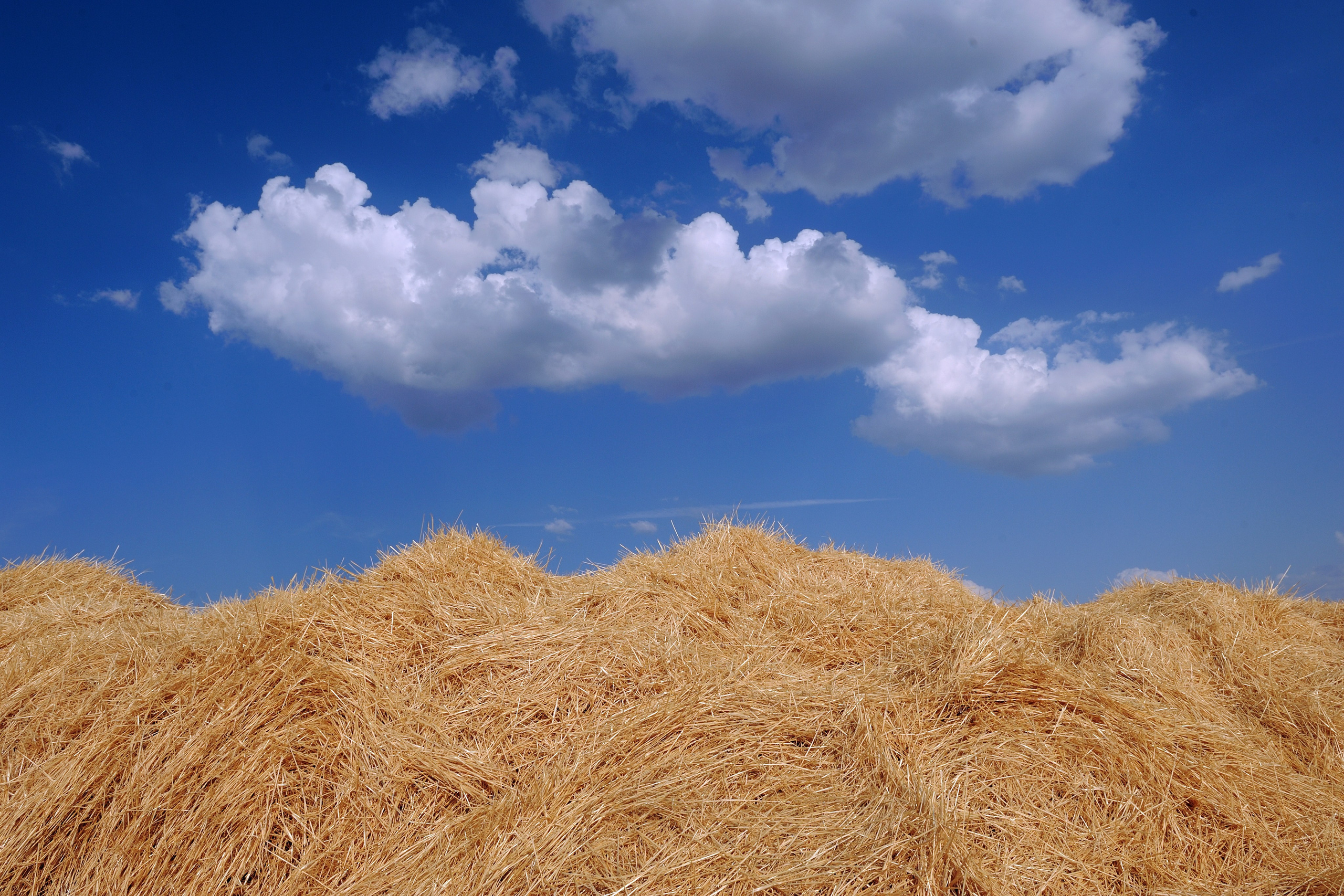 РОСТОВ. Фотограф Глеб Садов