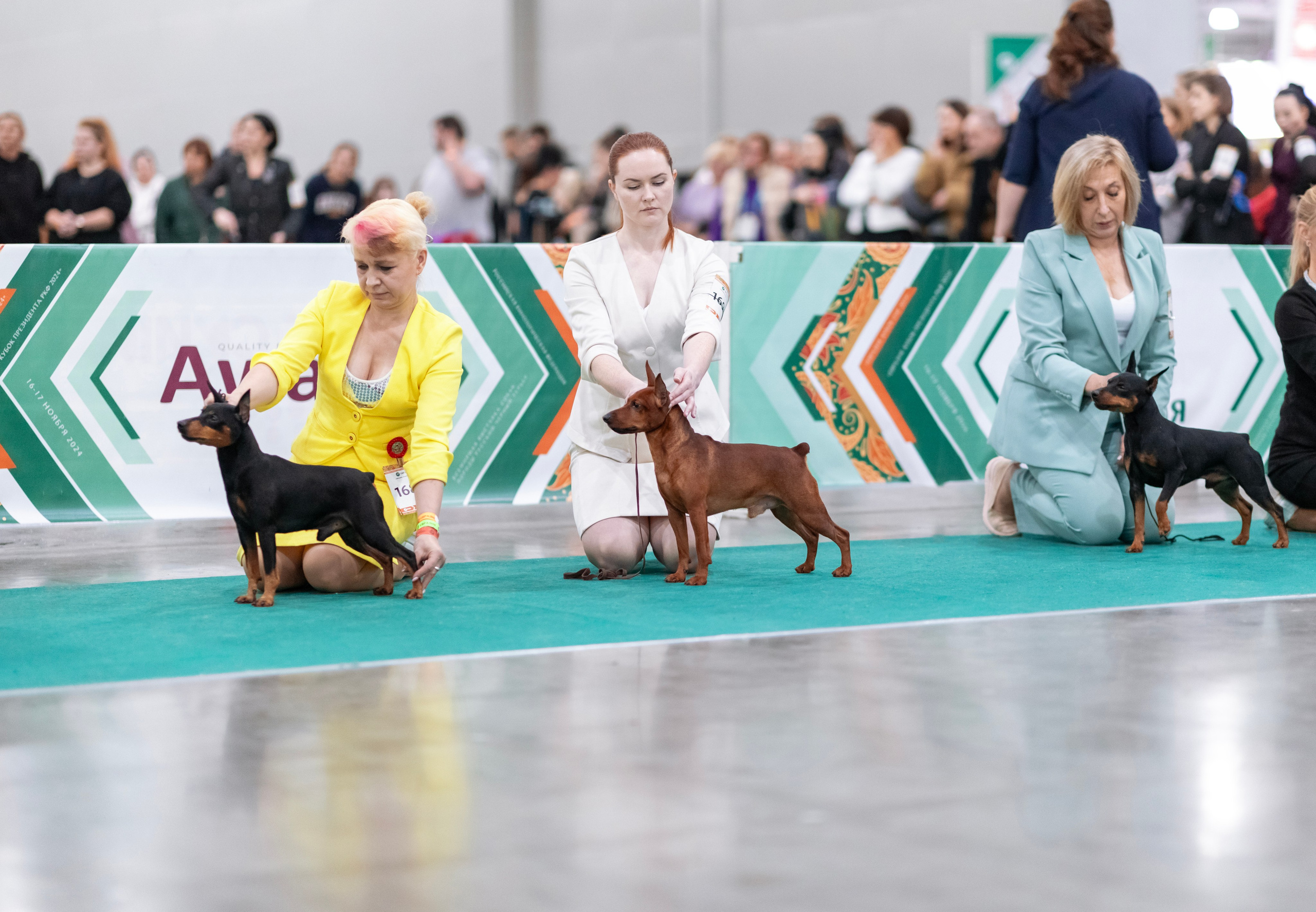 Евразия. Фотограф — анималист Татьяна Ли