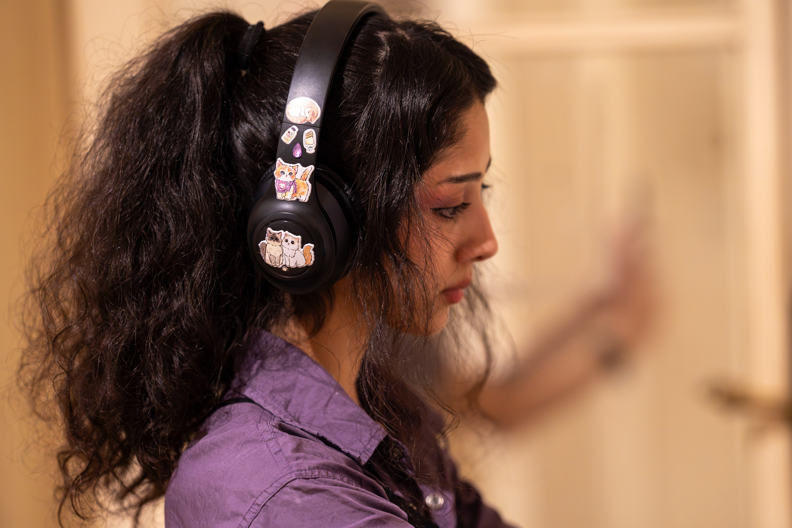 The Evita Fine Arts Museum (Palacio Ferreyra). Shanti Alex Art