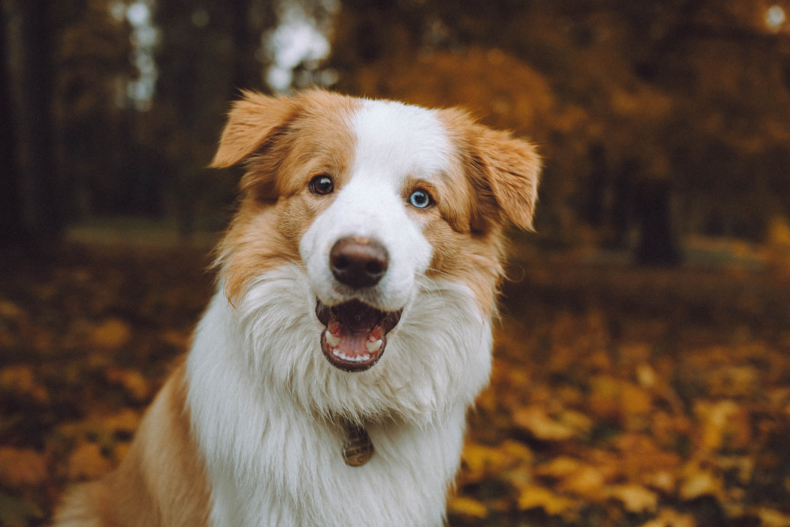 Алина, Витя и Асти