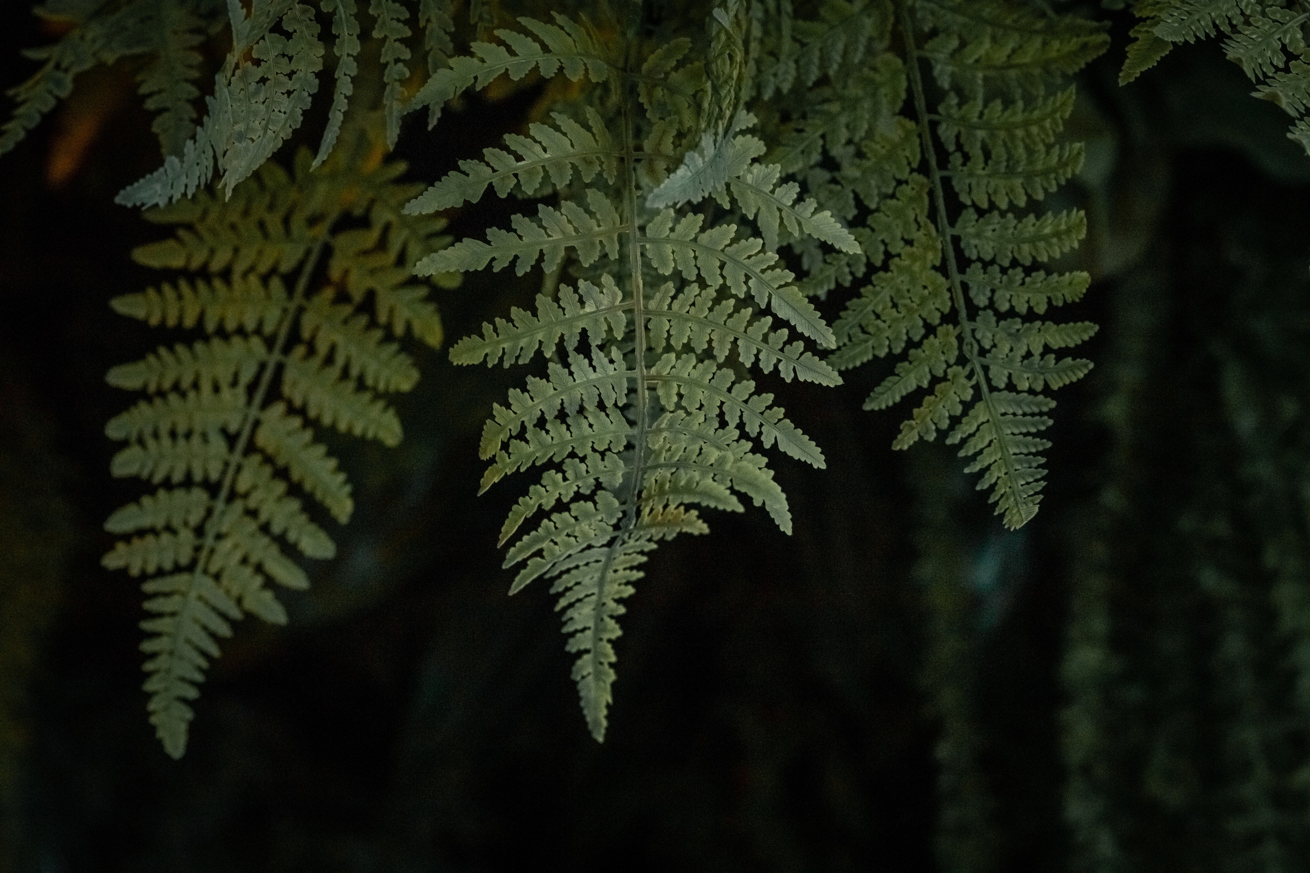 Репортажная съемка. Фотограф брендов и бизнеса в Москве Алексей Сентюрин