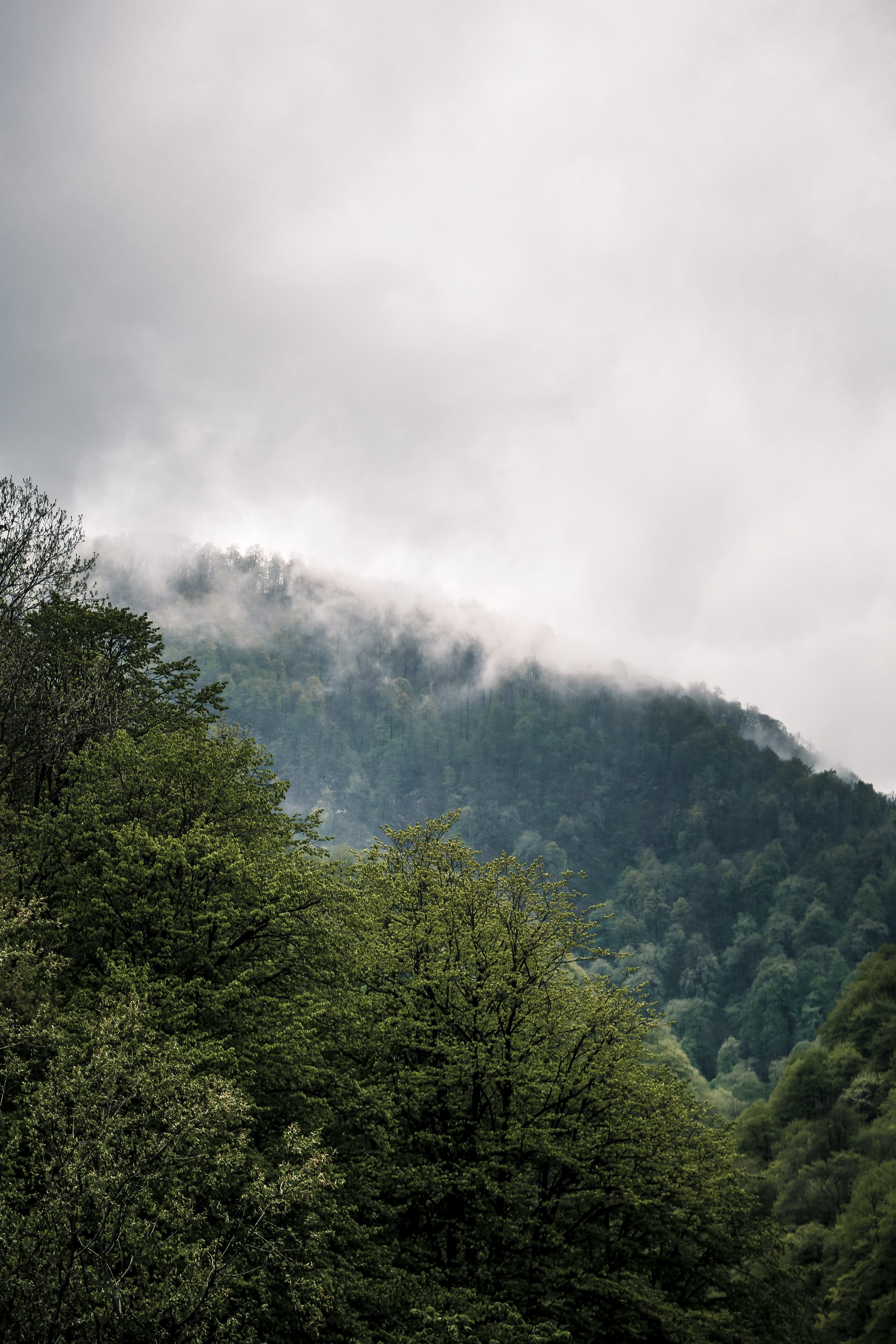 Кавказ: Северная Осетия. Дарья Письменюк / Darya Leitstern — фотограф, музыкант, журналист, путешественник
