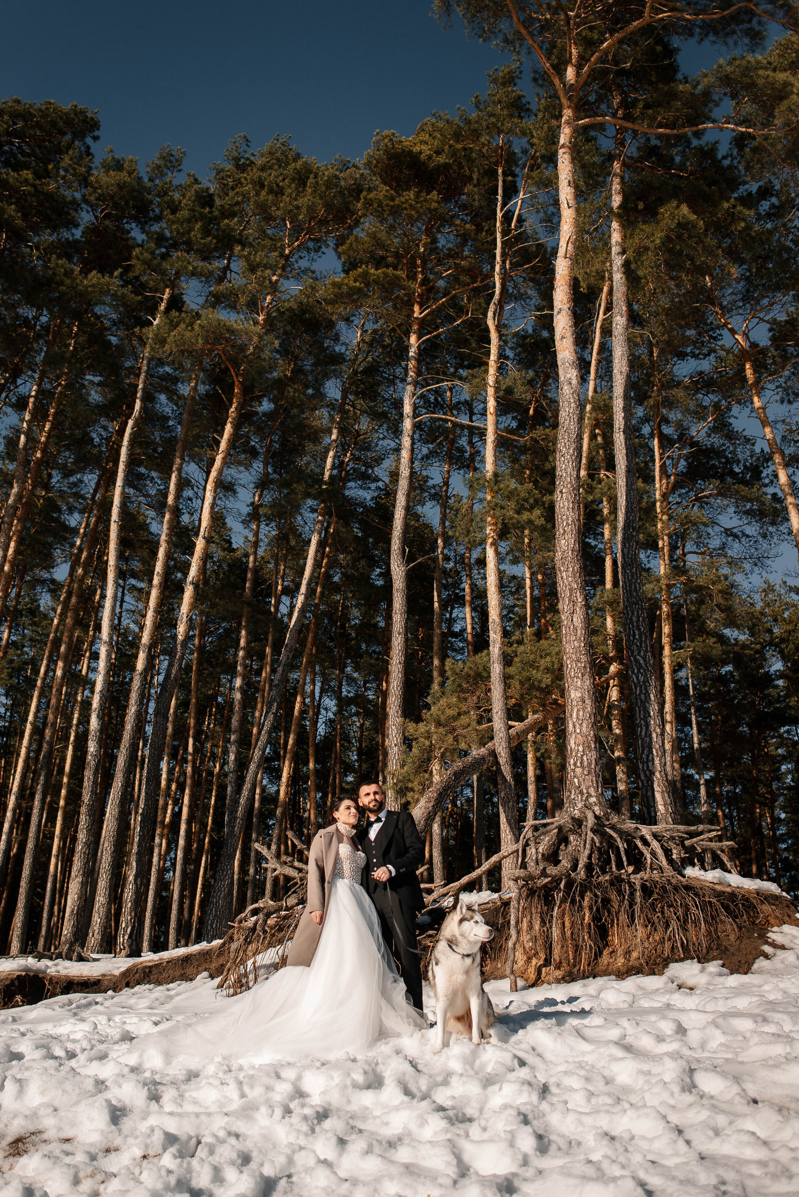 Вусал и Афсана. Свадебный фотограф Курск Артем Духтанов