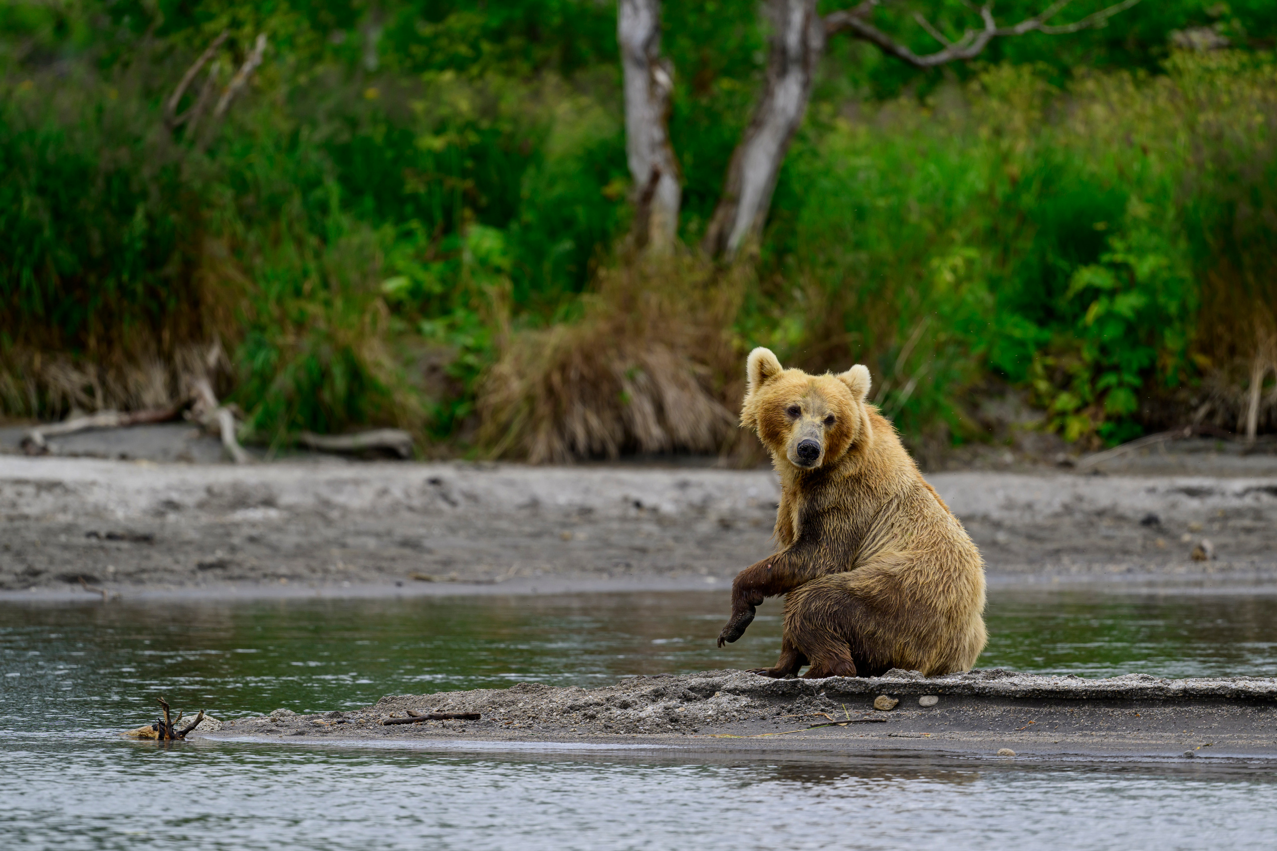 Камчатка, Россия. Фотограф Сергей Пупонин