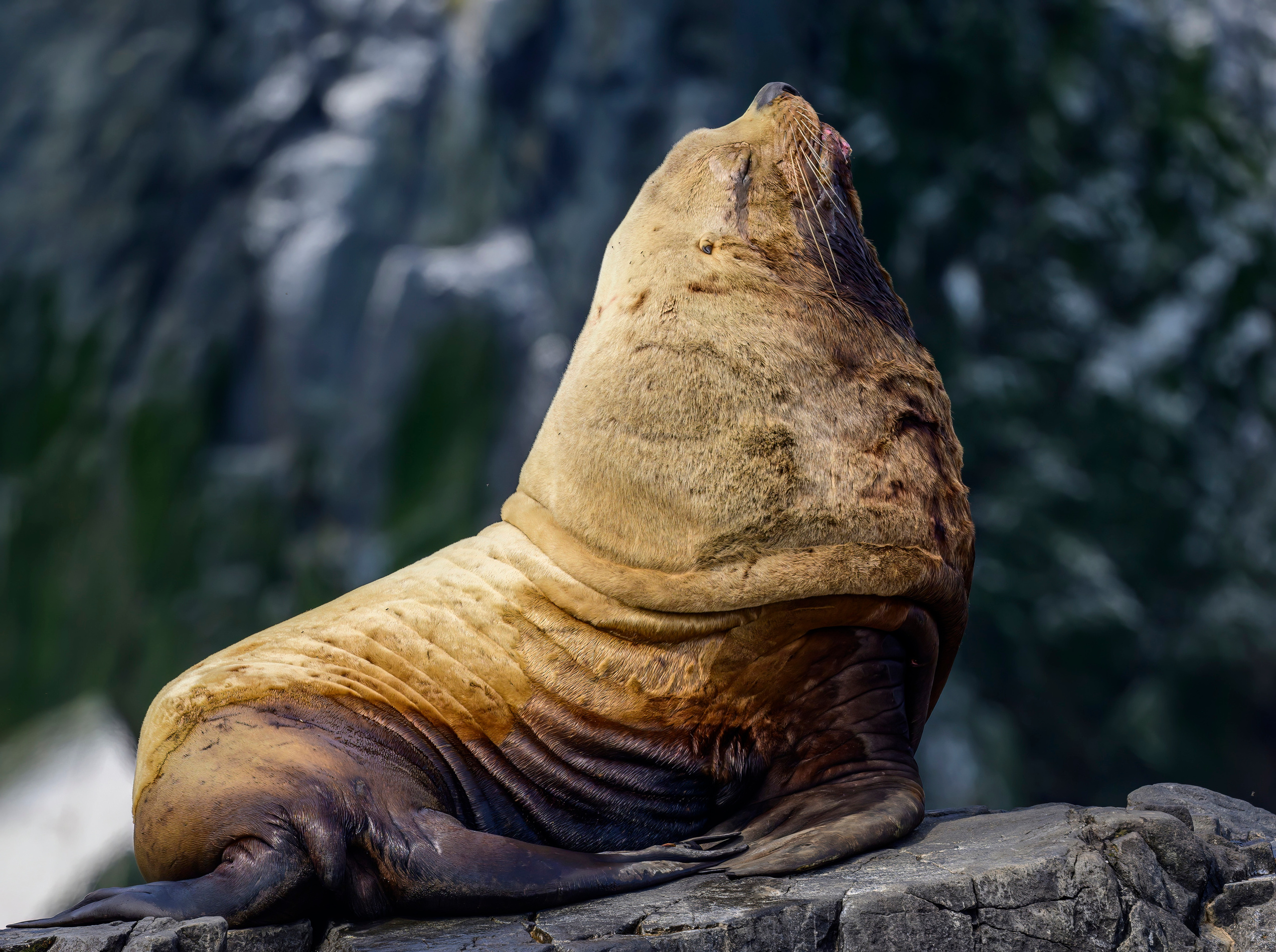Камчатка, Россия. Фотограф Сергей Пупонин