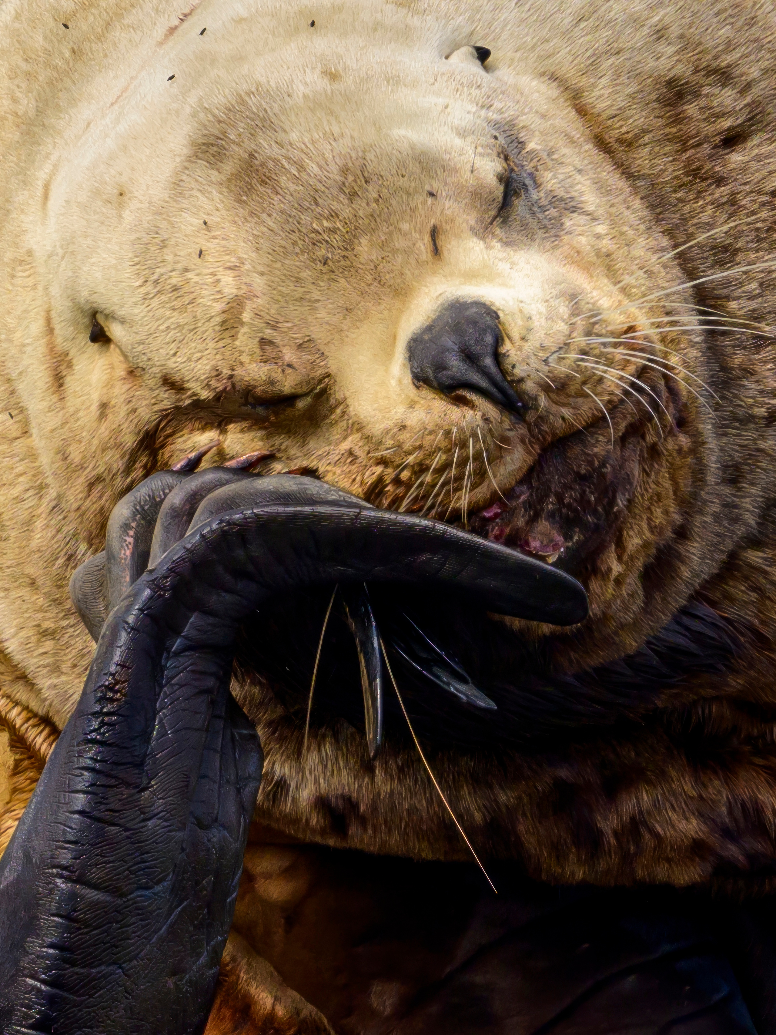 Камчатка, Россия. Фотограф Сергей Пупонин