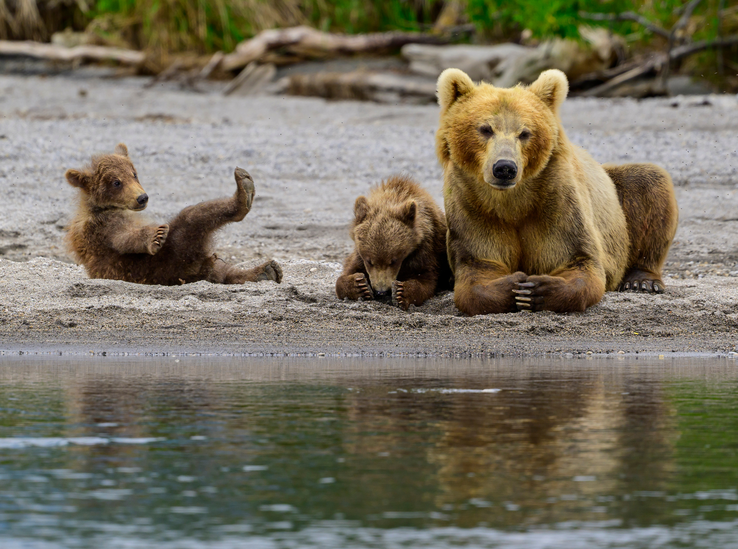 Камчатка, Россия. Фотограф Сергей Пупонин