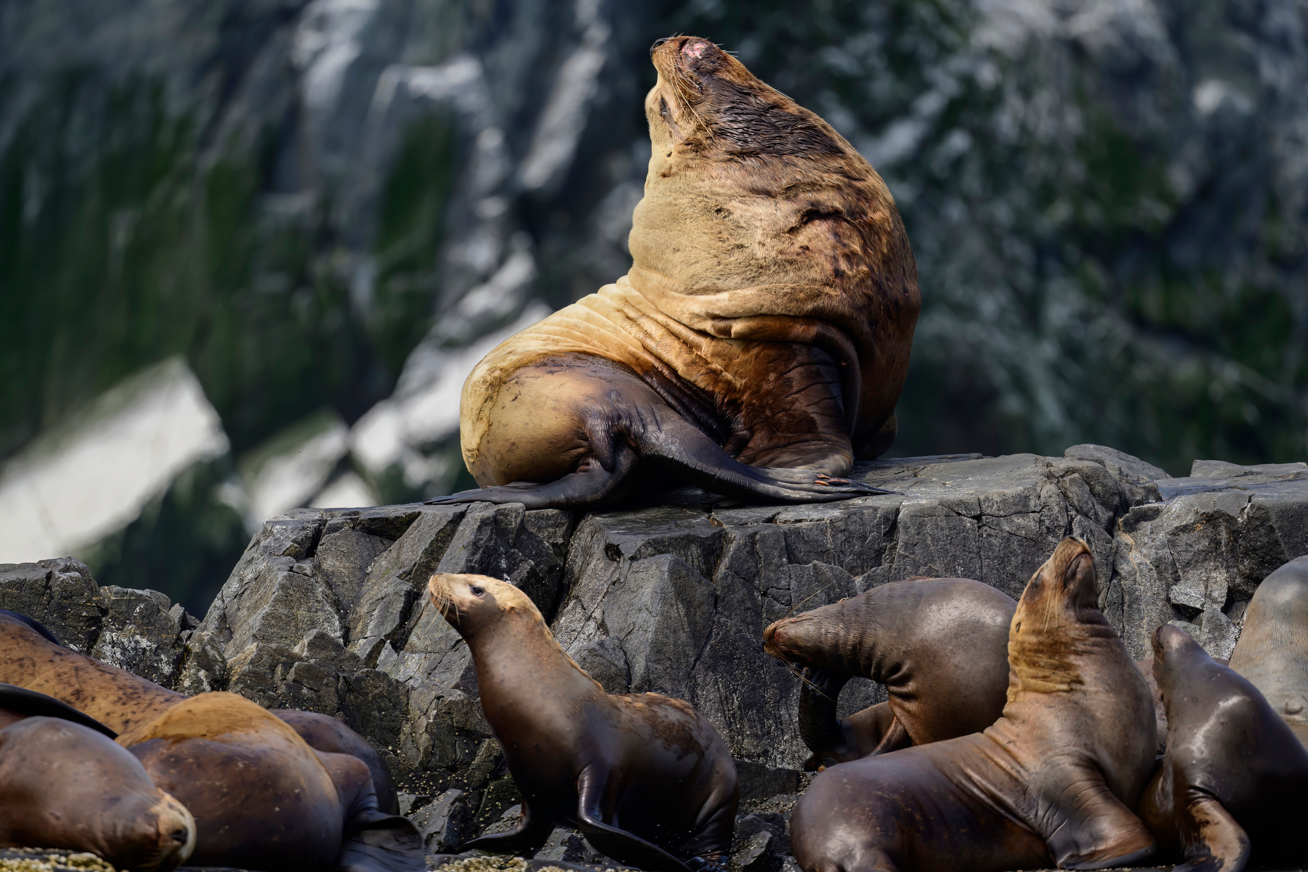 Камчатка, Россия. Фотограф Сергей Пупонин