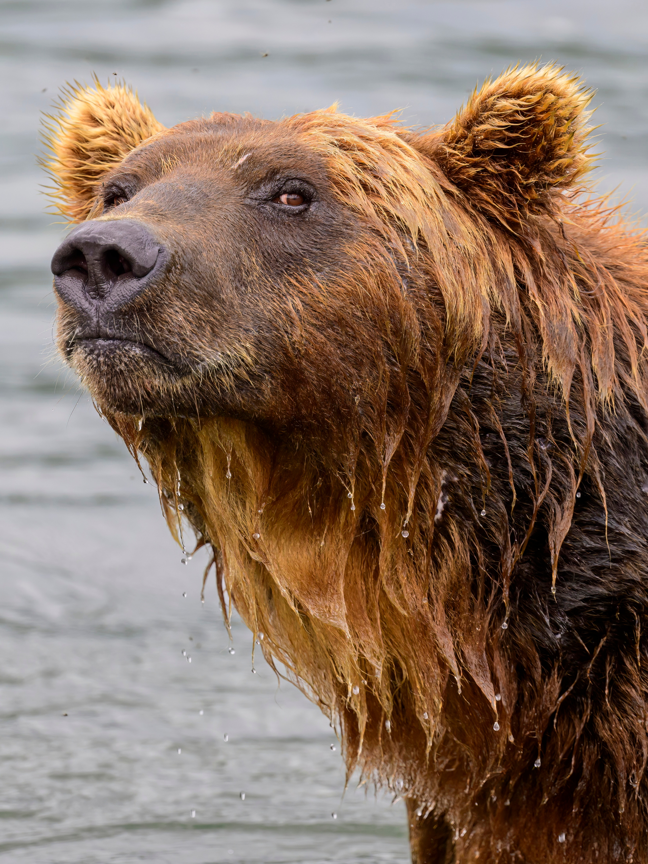 Камчатка, Россия. Фотограф Сергей Пупонин