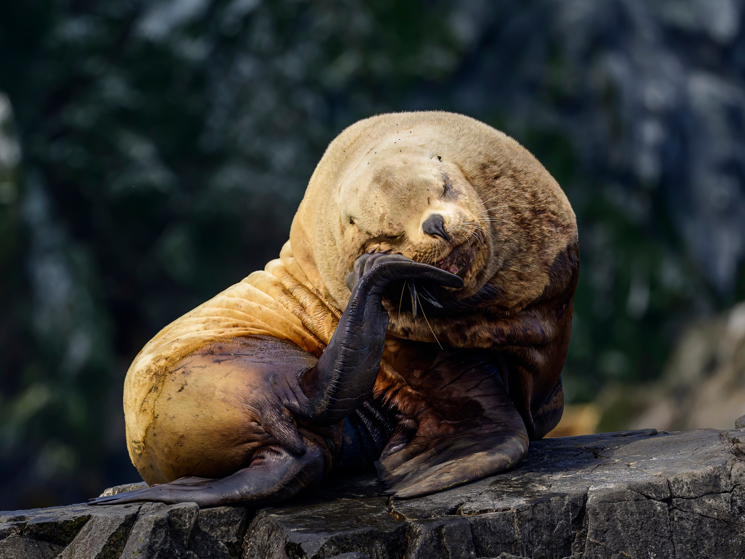 Камчатка, Россия. Фотограф Сергей Пупонин