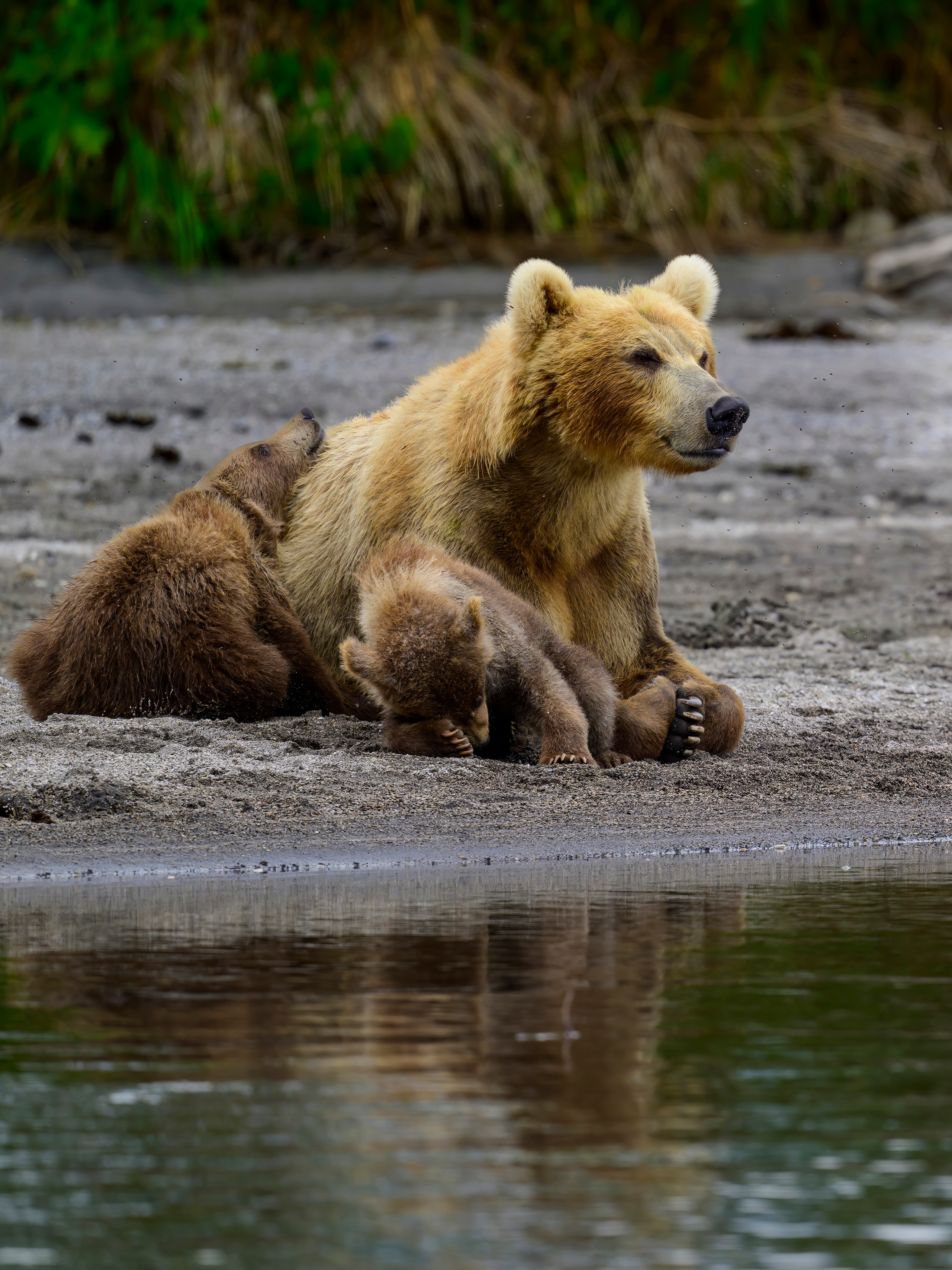 Камчатка, Россия. Фотограф Сергей Пупонин