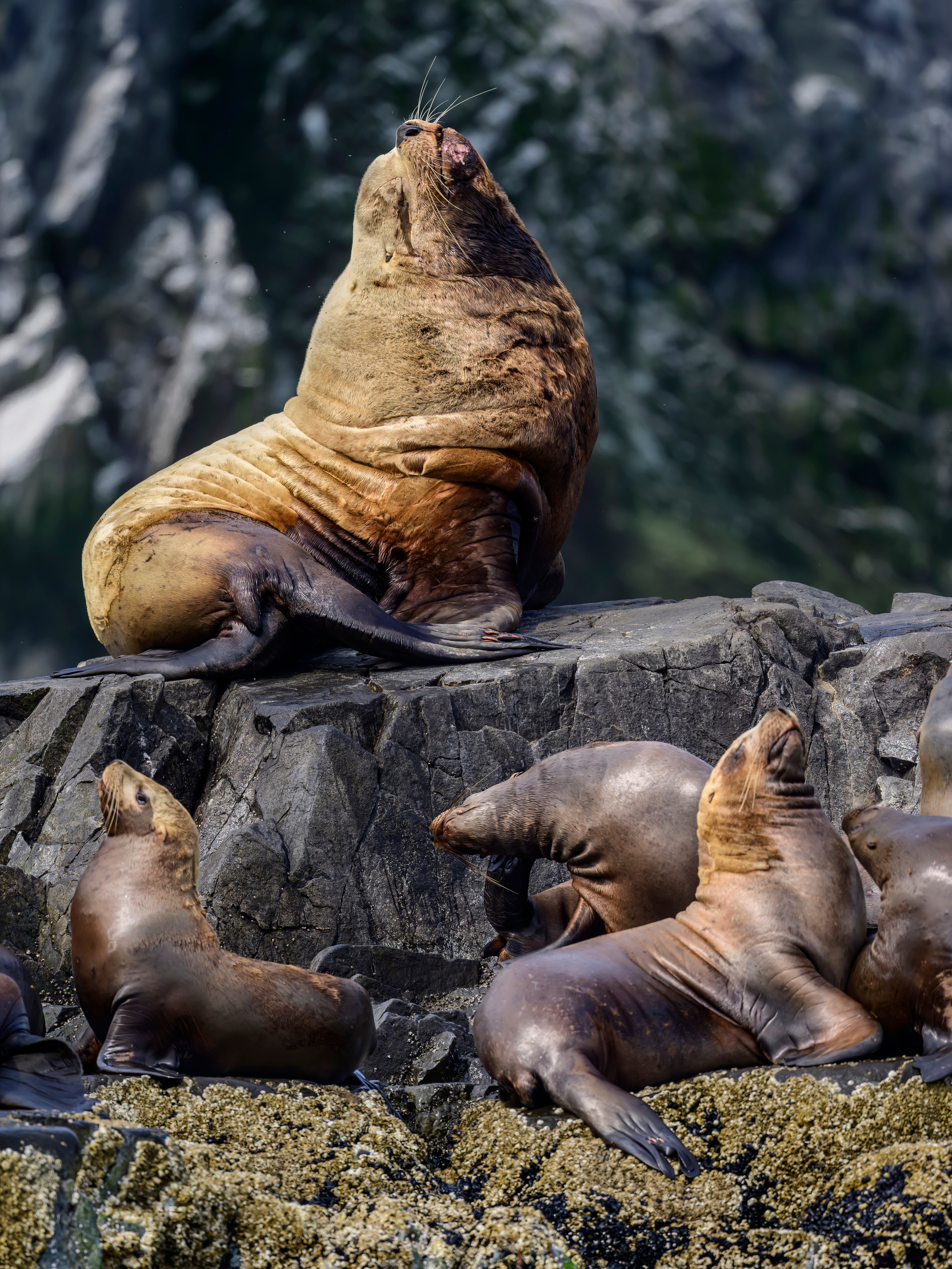 Камчатка, Россия. Фотограф Сергей Пупонин