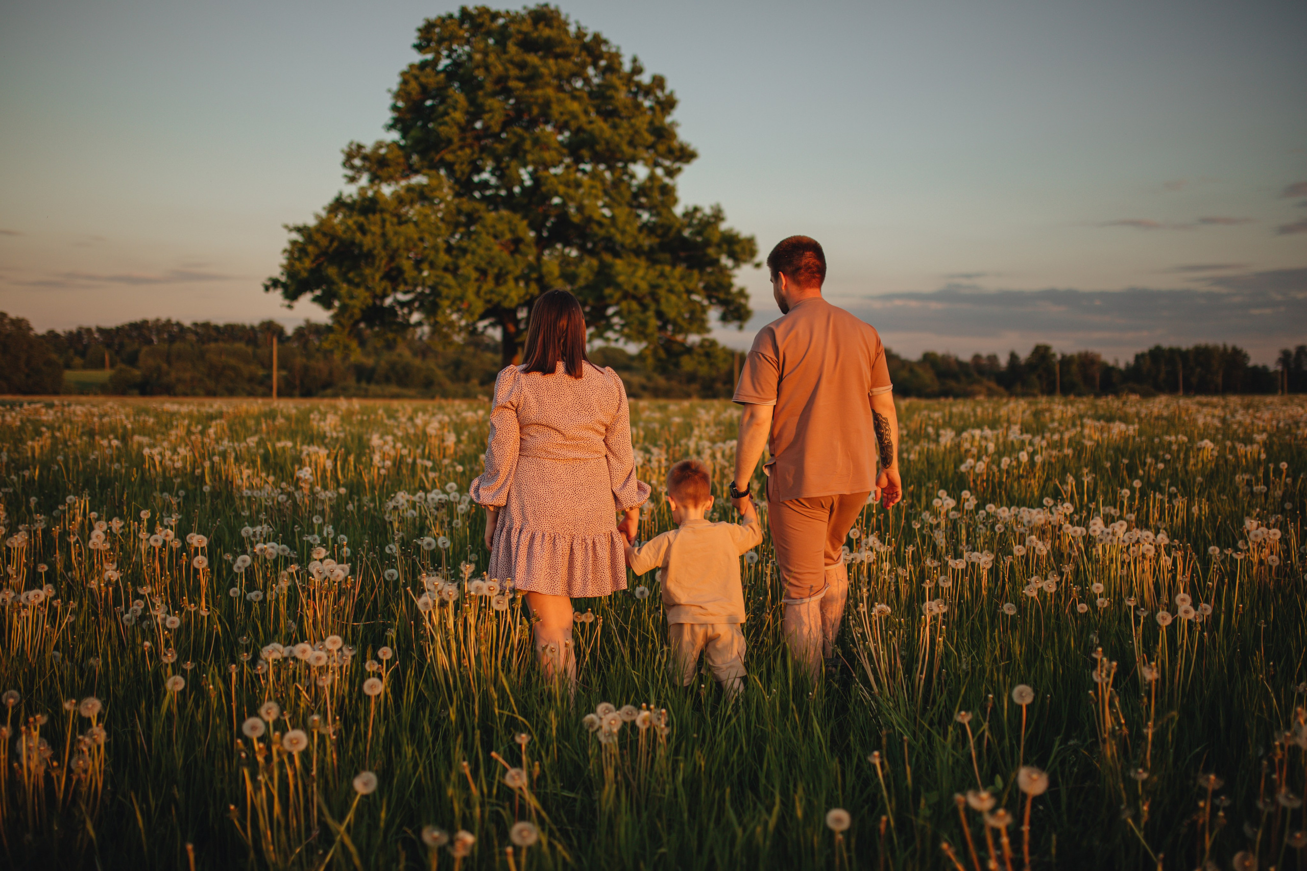 В поле на закате. Фотограф Винокурова Кристина в Санкт-Петербурге