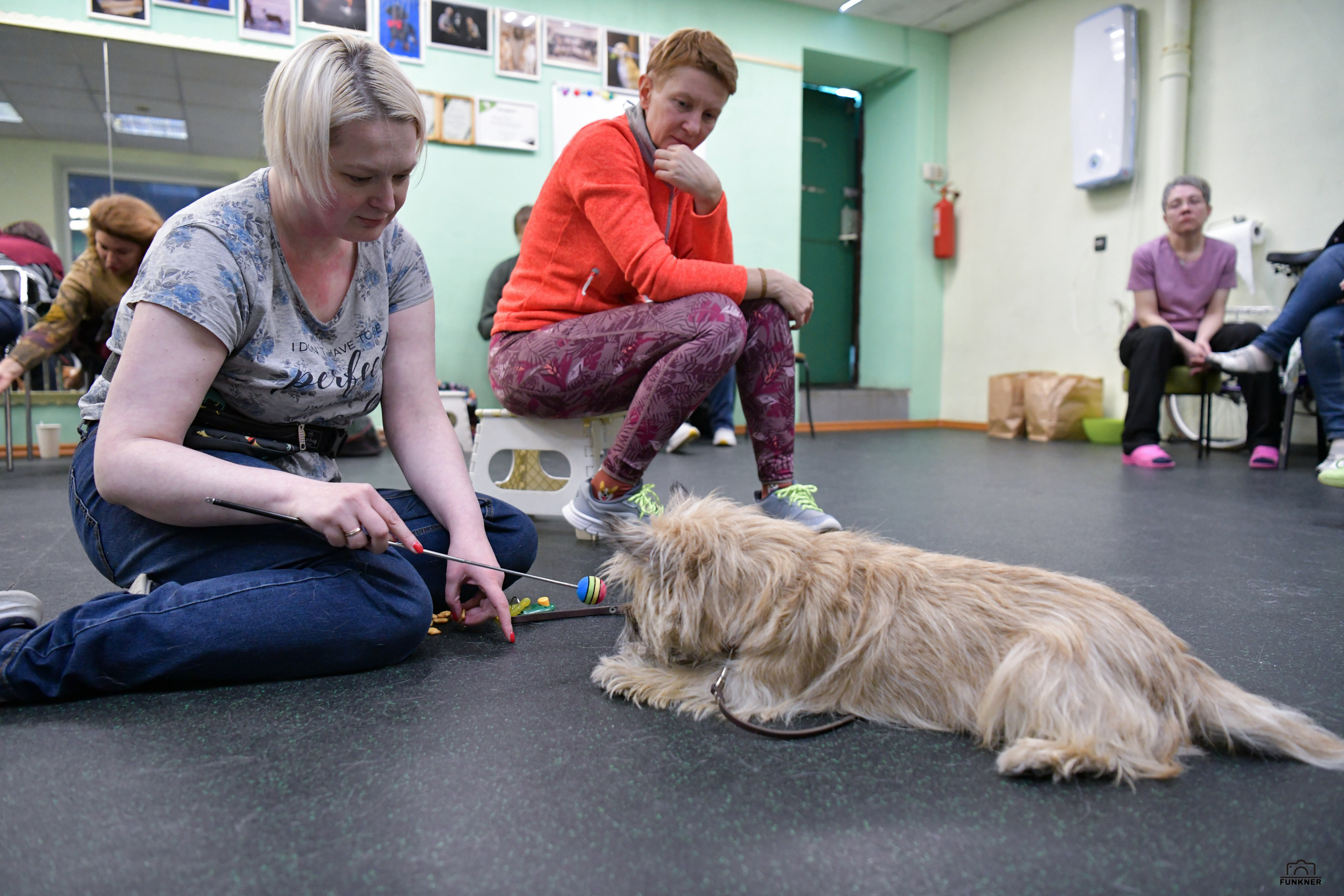 Кинологический клуб «Бодрый хвост». Свой взгляд через объектив