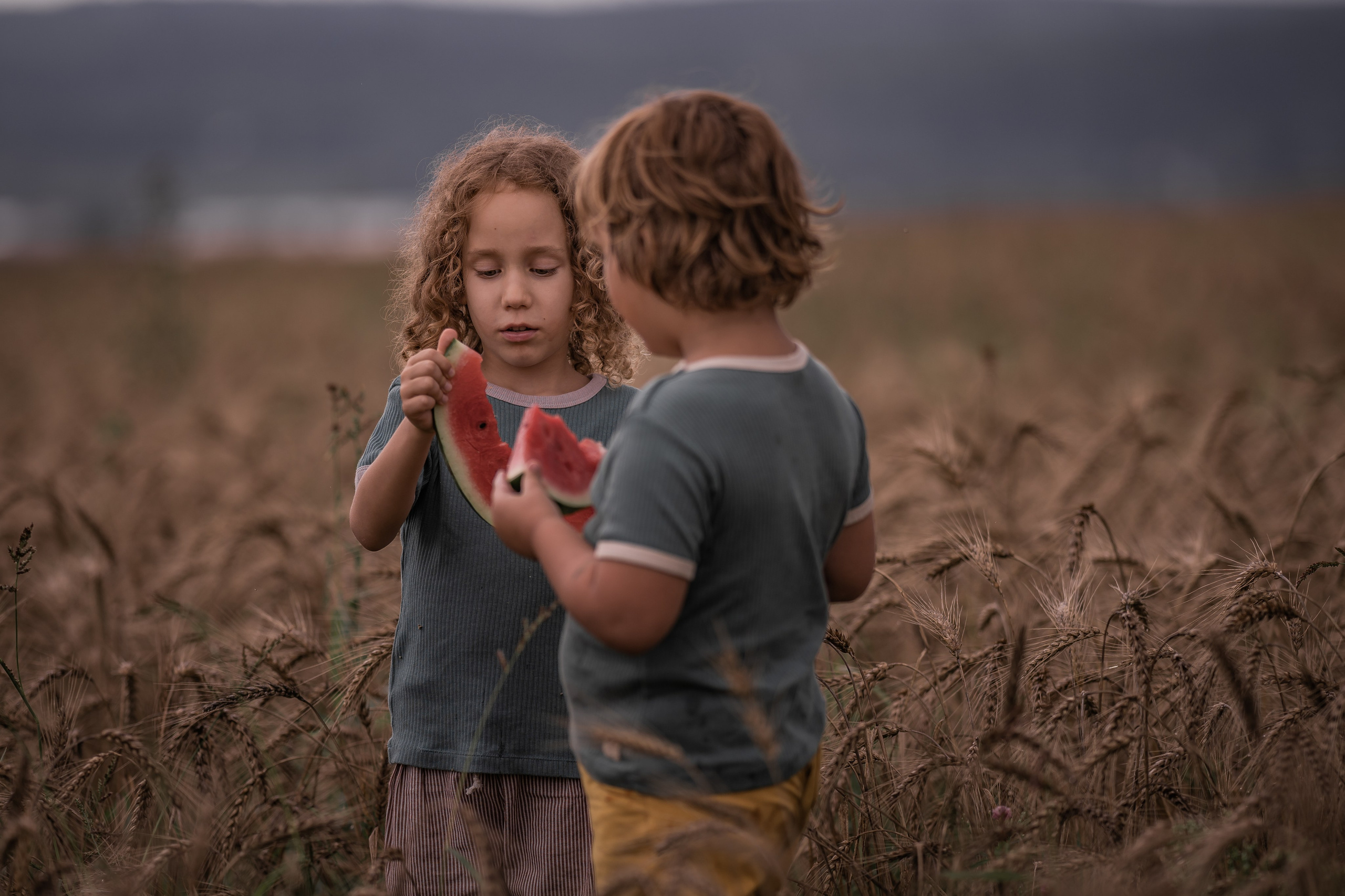 Пшеничное поле, август. Семейный фотограф Ефремова Виктория