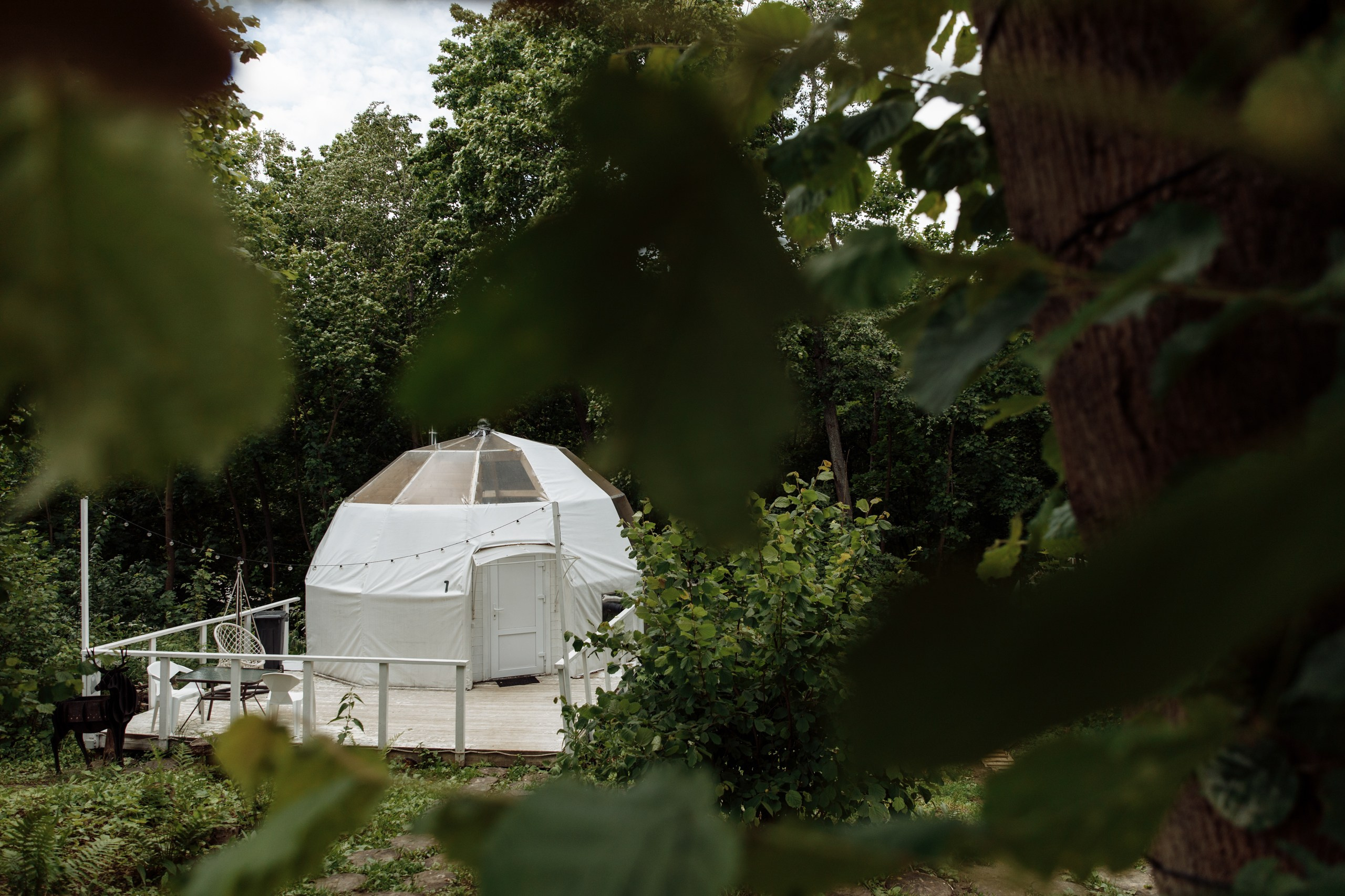Кристина и Артём. Свадебный фотограф в Ярославле Анастасия Архипова