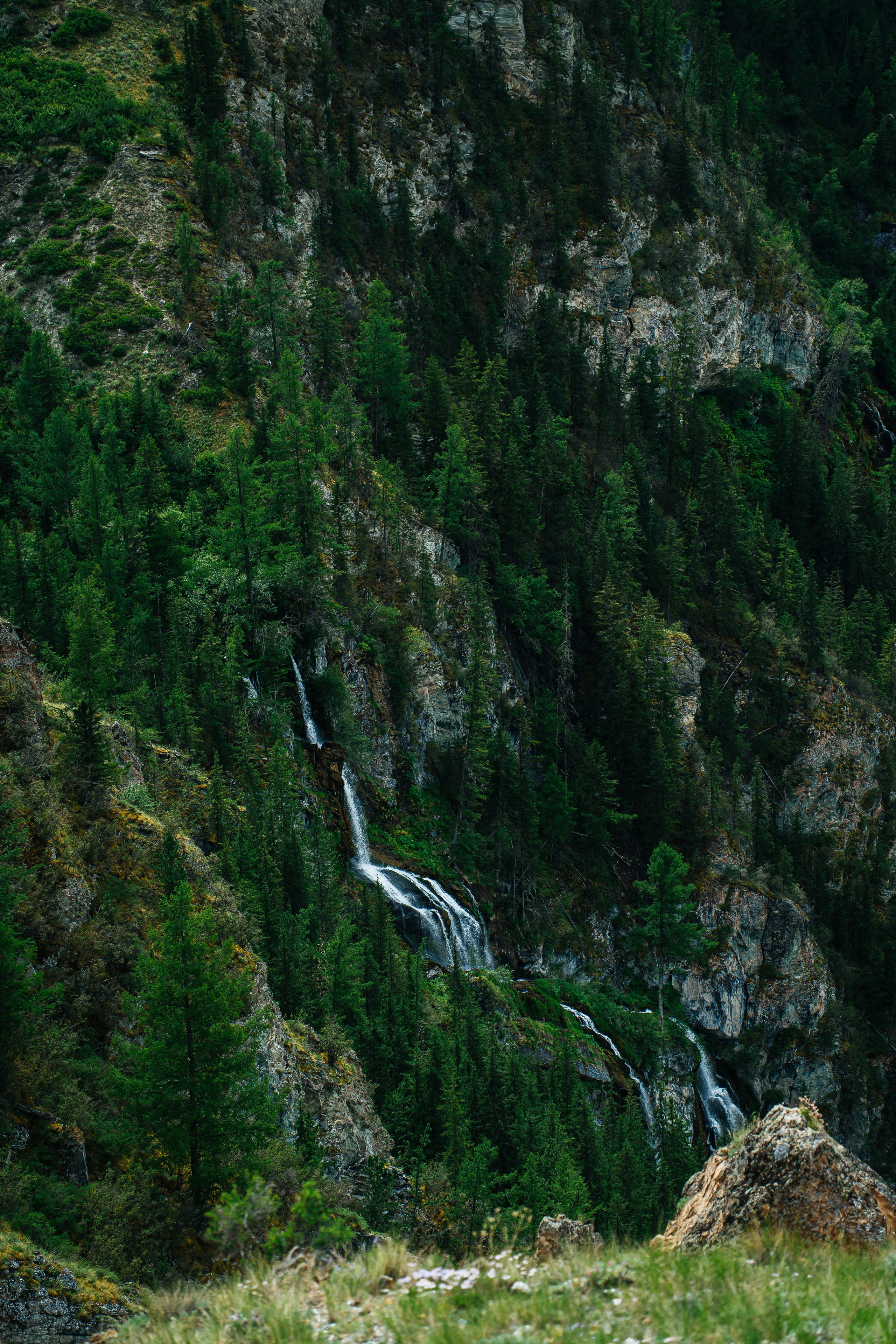Алтай. Семейный фотограф в Санкт-Петербурге