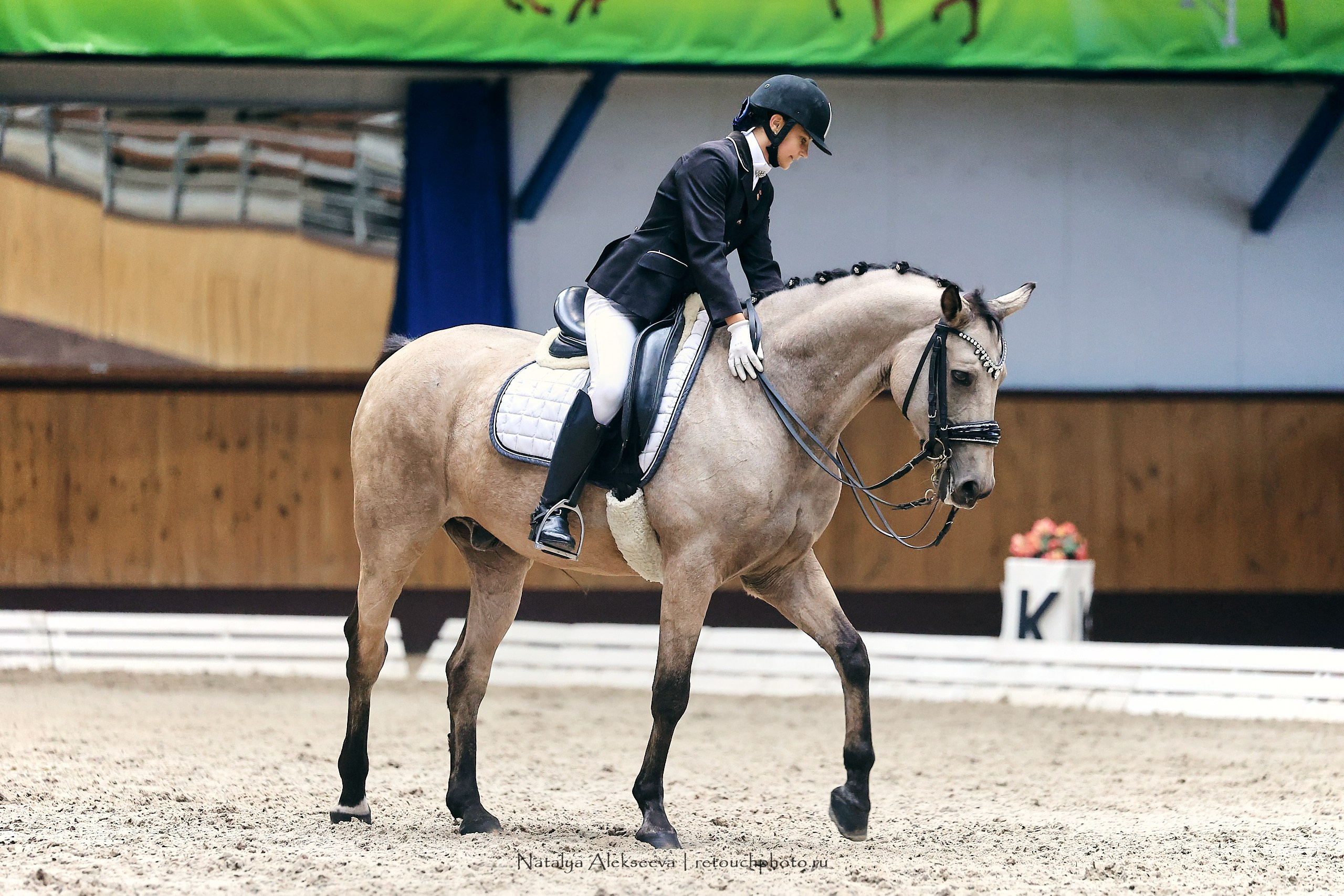 Звезды Евразии по выездке, Минск | 10'2023. Репортажный фотограф и ретушер в Москве Наталья Алексеева
