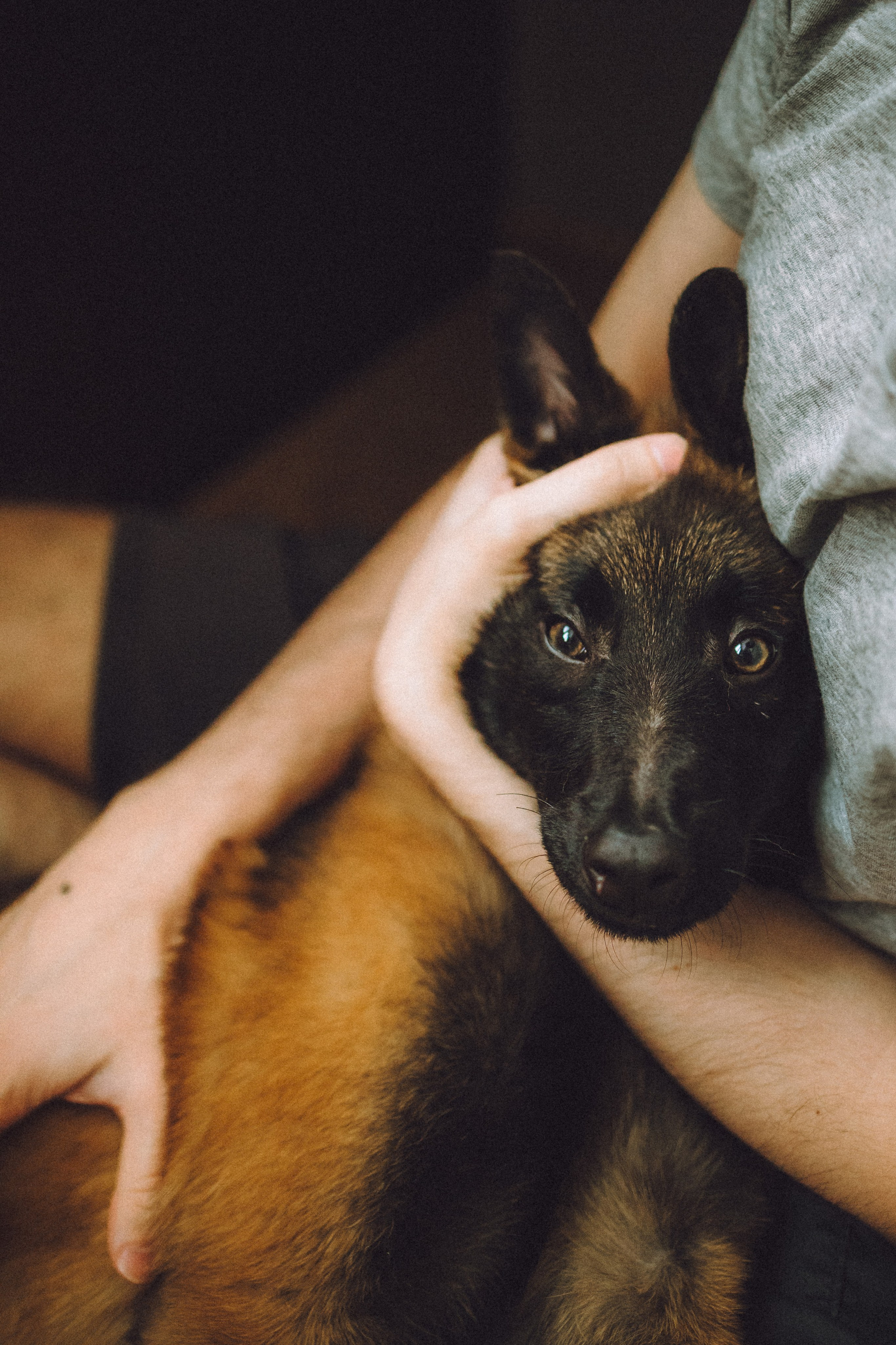 Ира, Андрей, Бэлла и Панда