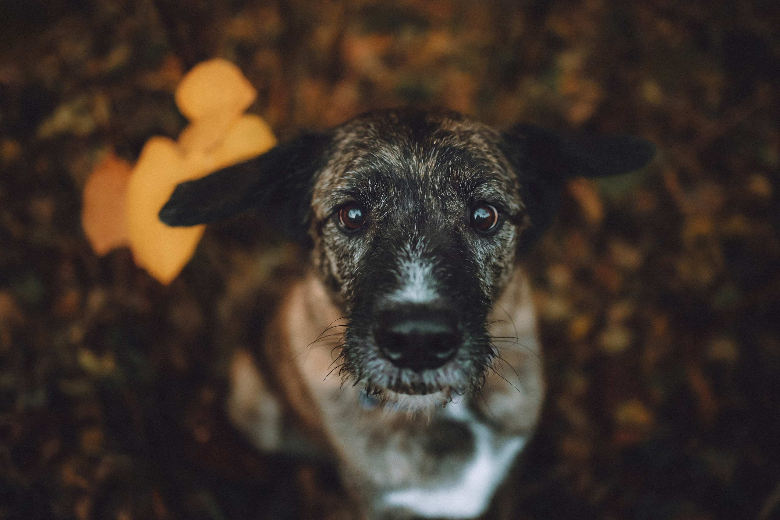 Рик, Джек и их семья