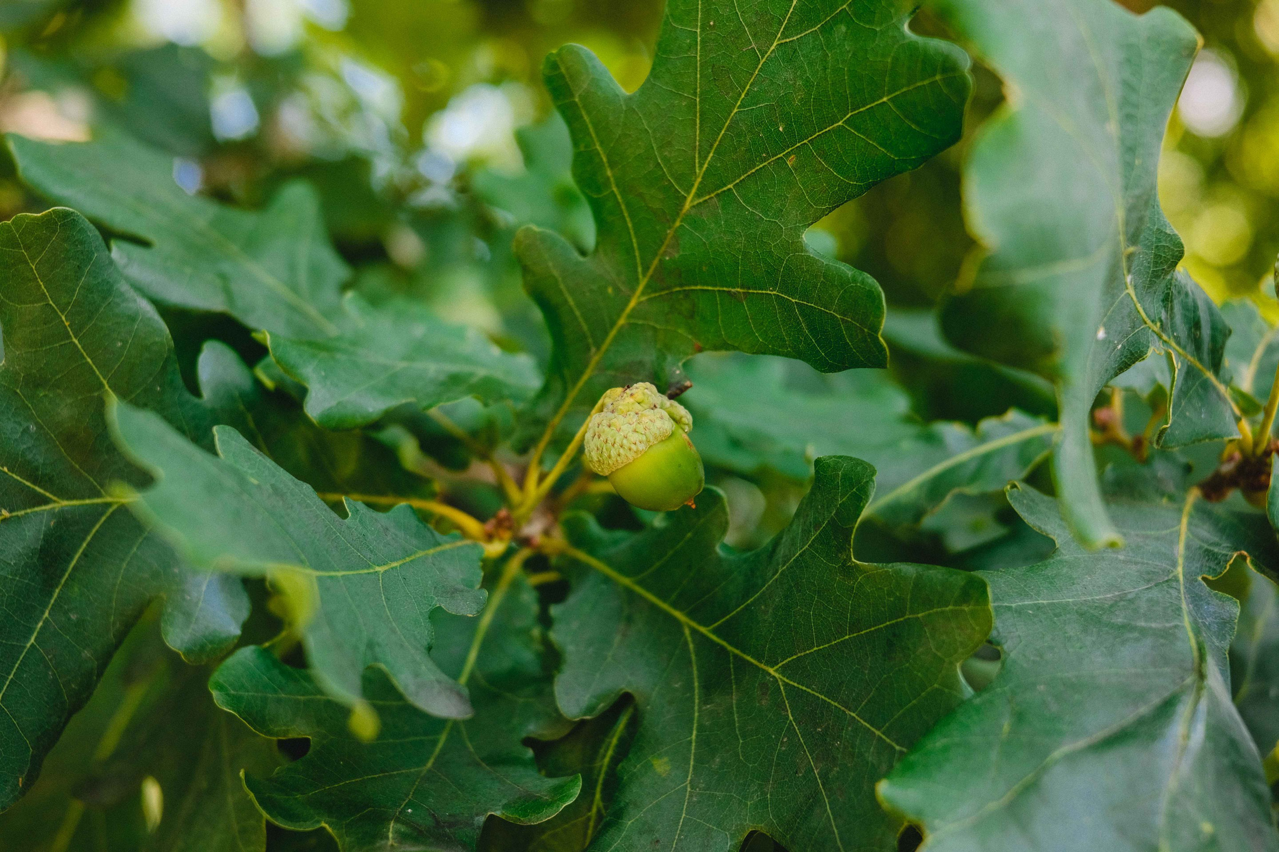 2023.07. Фотограф Алексей Алексеев