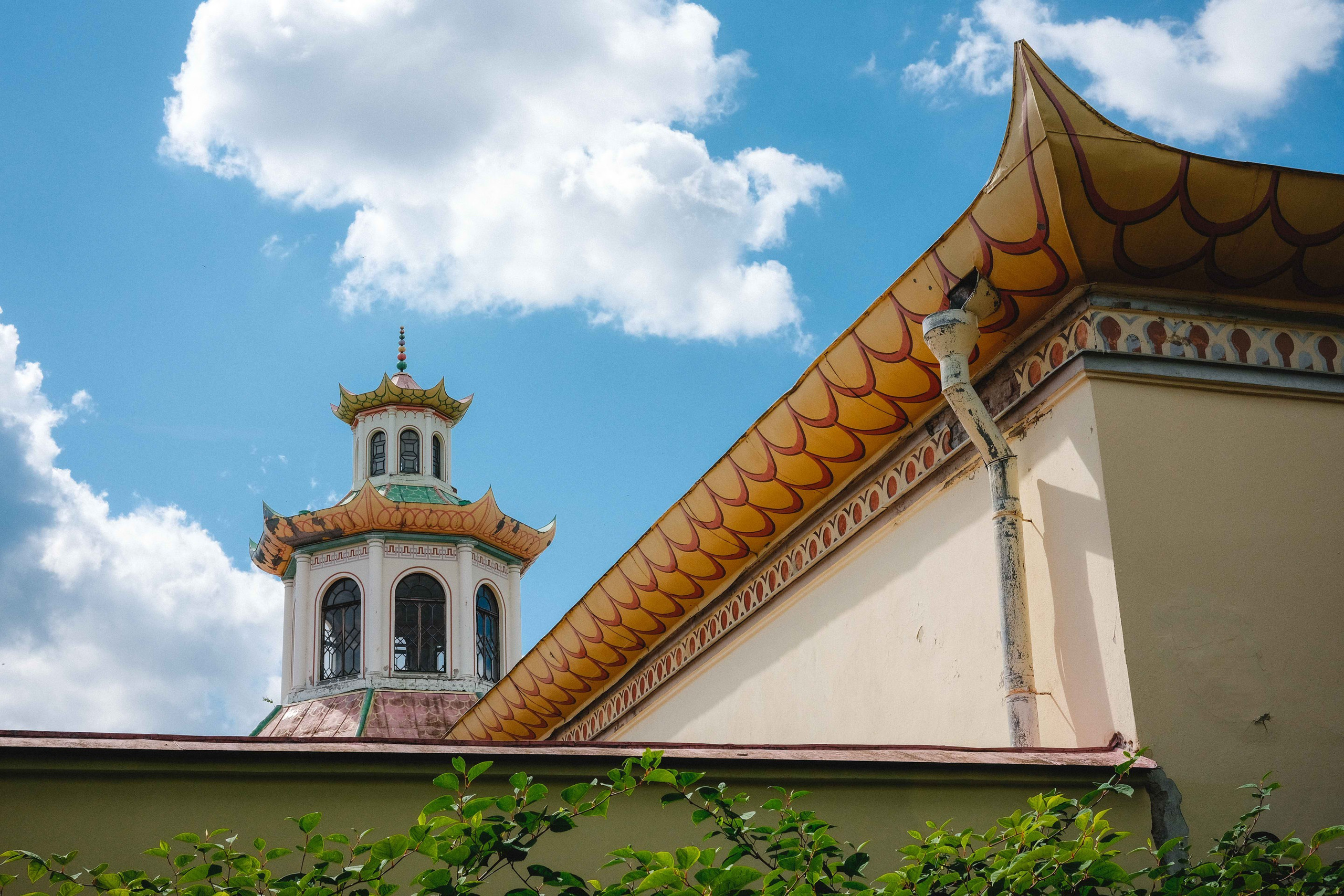 2023.07. Фотограф Алексей Алексеев