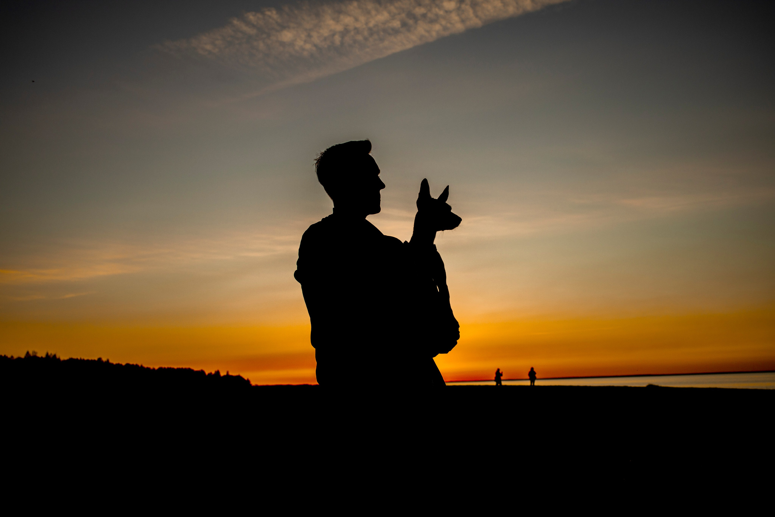 Лео и Саша. Фотограф-анималист в Санкт-Петеребурге Титова Алиса