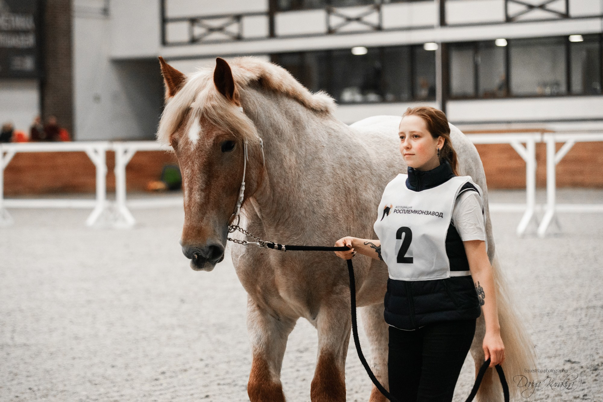 8-я международная выставка Конная Россия. Конный фотограф Куракина Дарья • Фотосессии с лошадьми