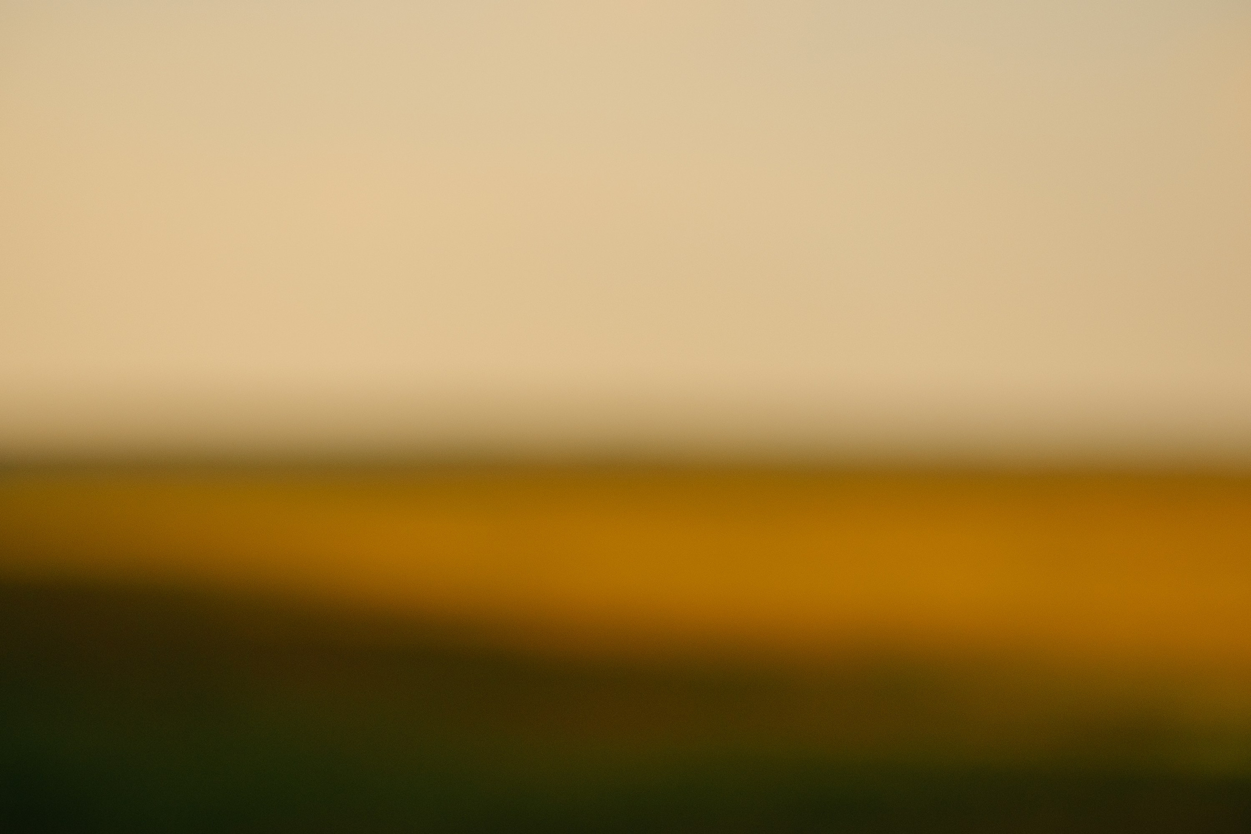 Зыбь. Фотограф в Москве, в Самаре Инна Мамонова