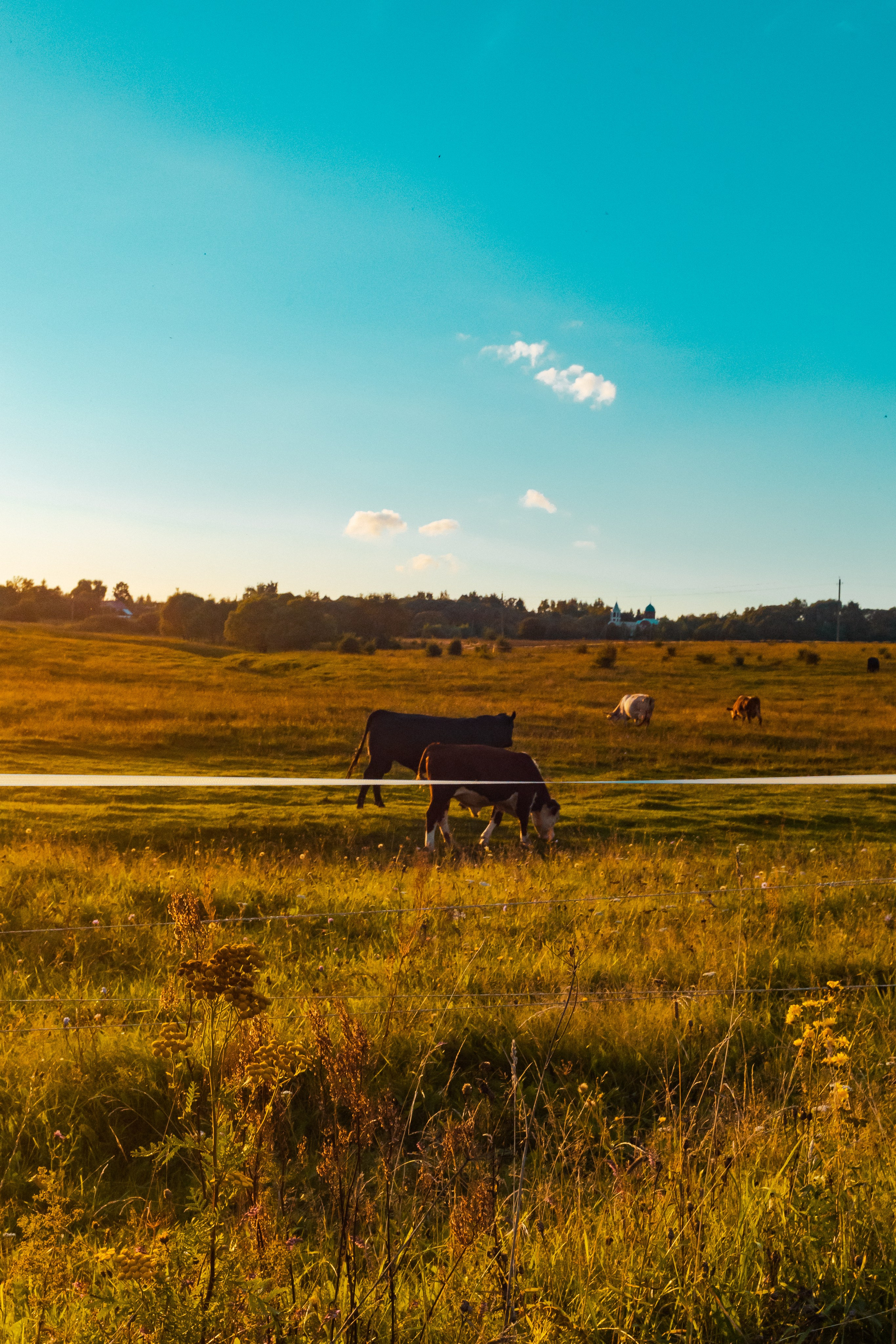 Деревня Мишнево | Калужская область. Папка кадров 📁