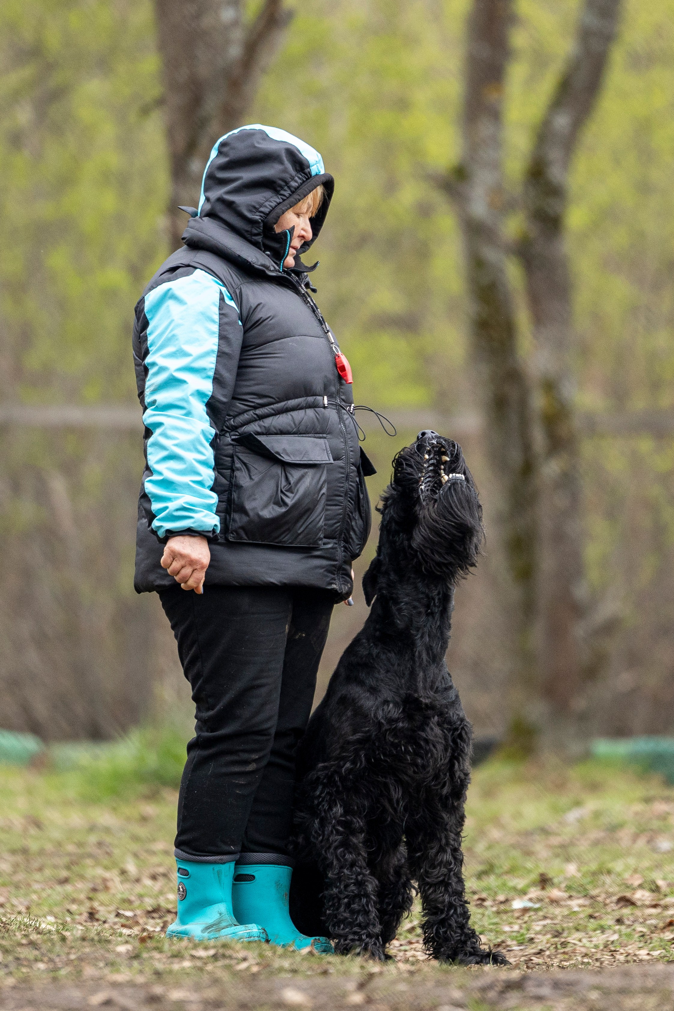 Квалификационные состязания по мондьорингу г. Вологда 11.05.24. Фотограф-анималист Анна Маринич