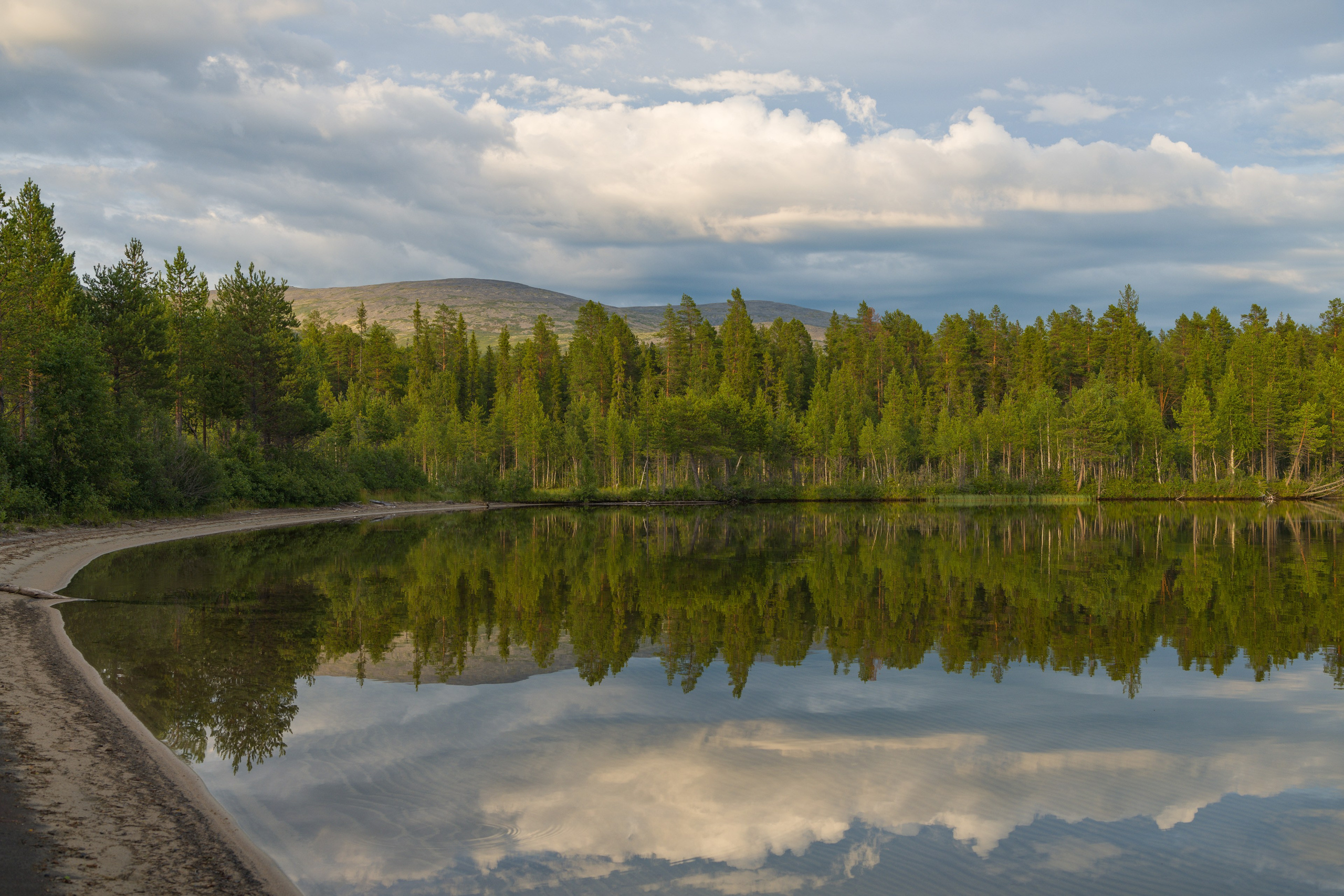 Лапландский заповедник. Northern Nights