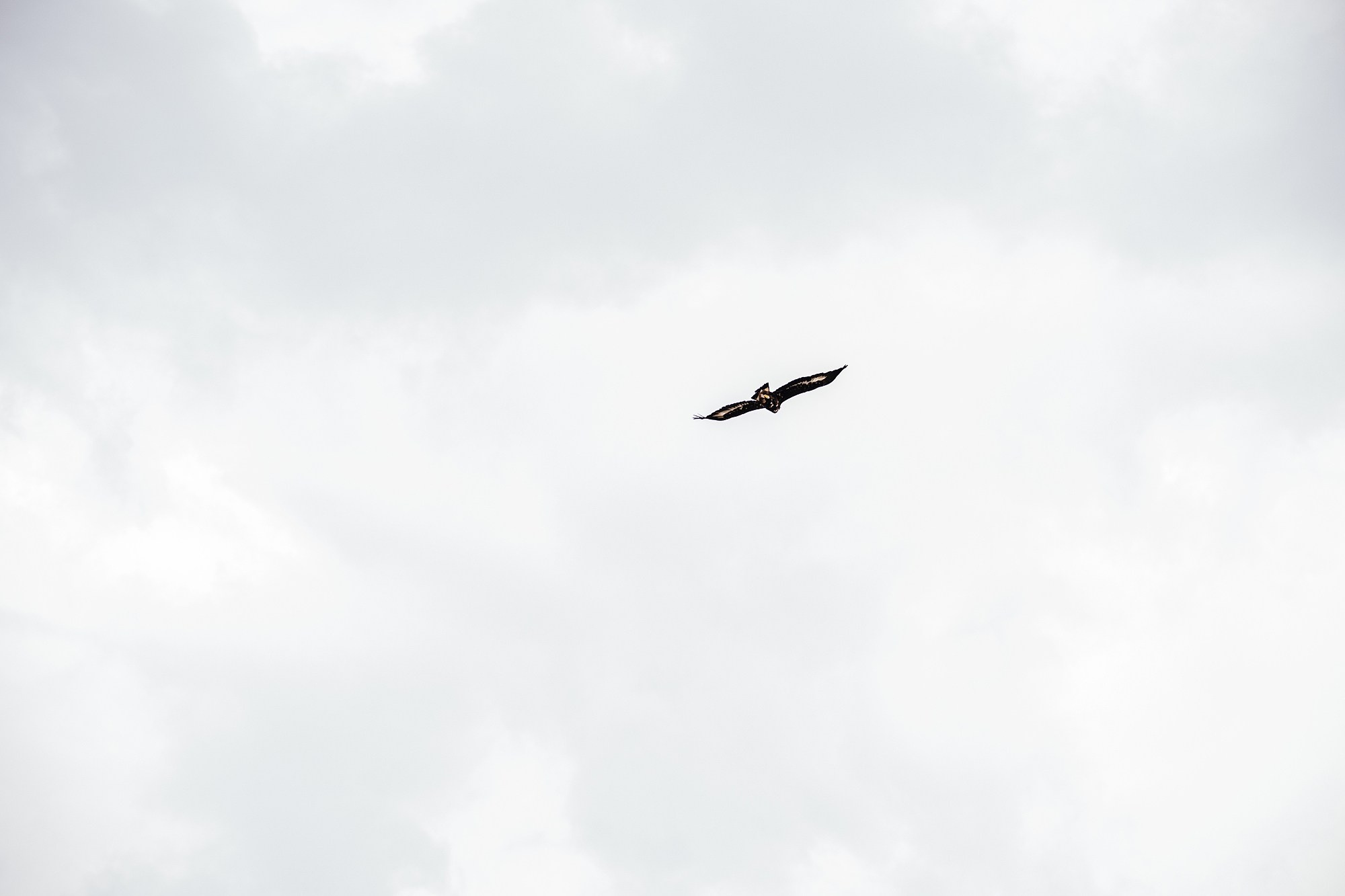 Язык Тролля. Семейный фотограф Пятигорск, Кисловодск, Эльбрус. Марина Вяликова