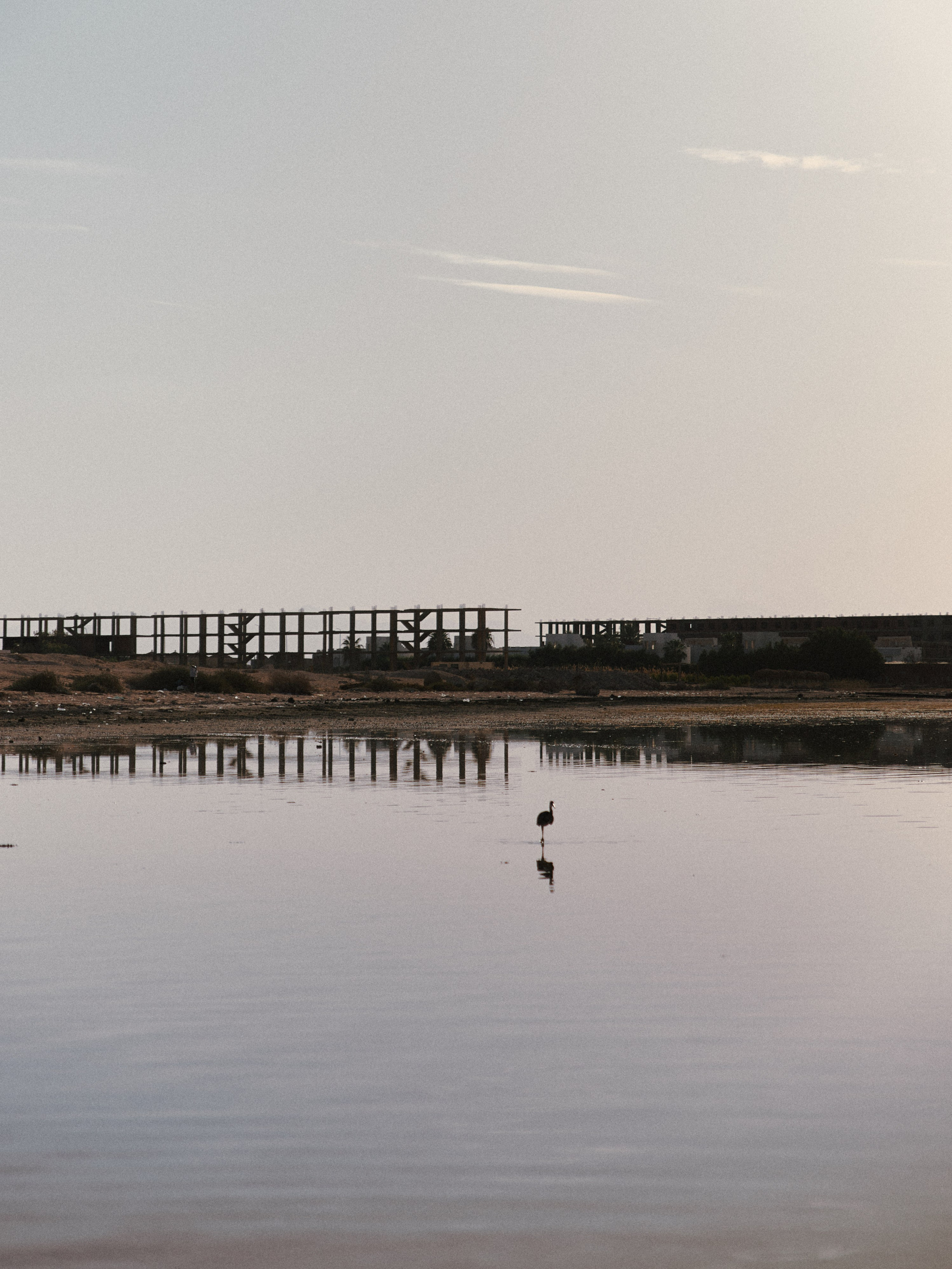 Улицы. Jorgis Talè — photographer, kind person, teacher of arts and other mag