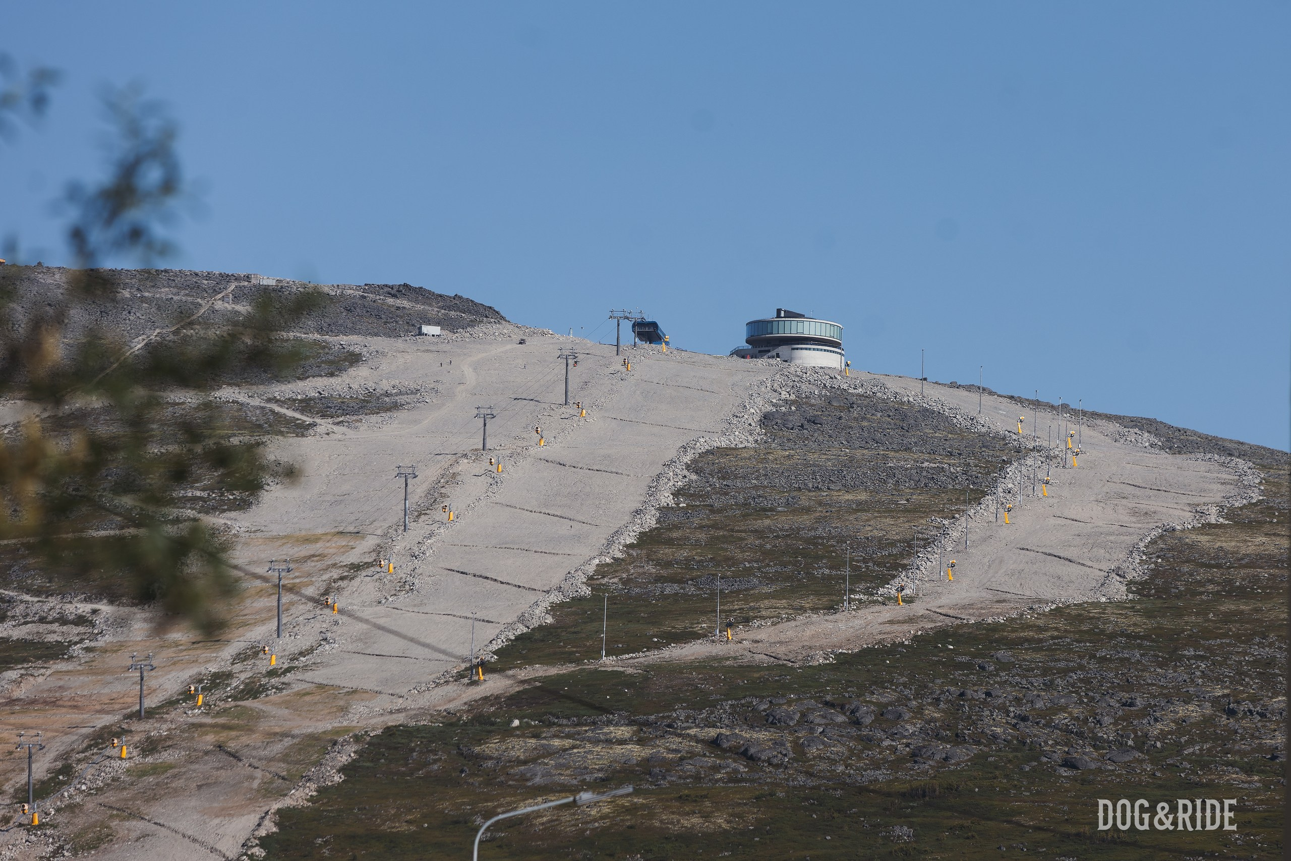 Хибины. Фотограф анималист Никита Натальный