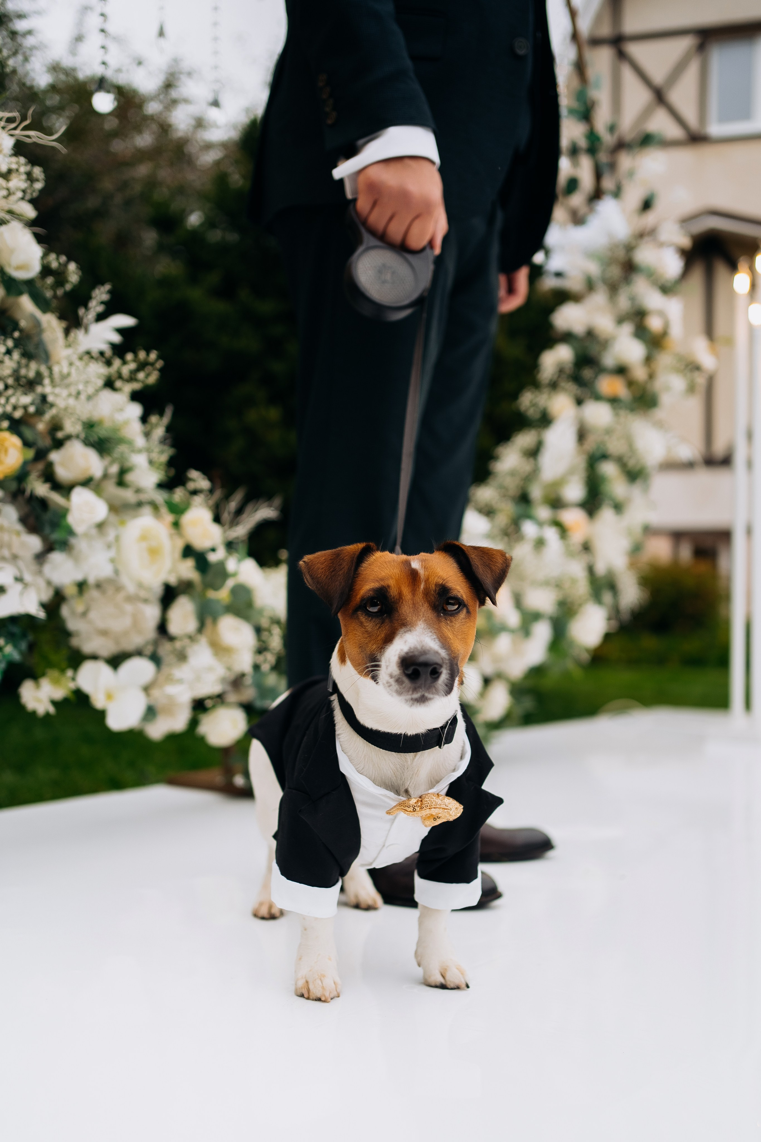 Аня и Максим. Фотограф Тверь. Анна Драго