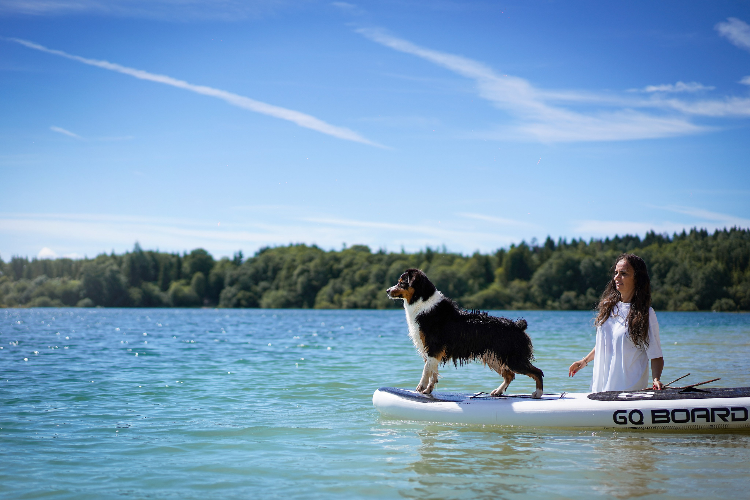 Аусси на карьерах. Фотограф-анималист в Санкт-Петербурге Яна Мартынова