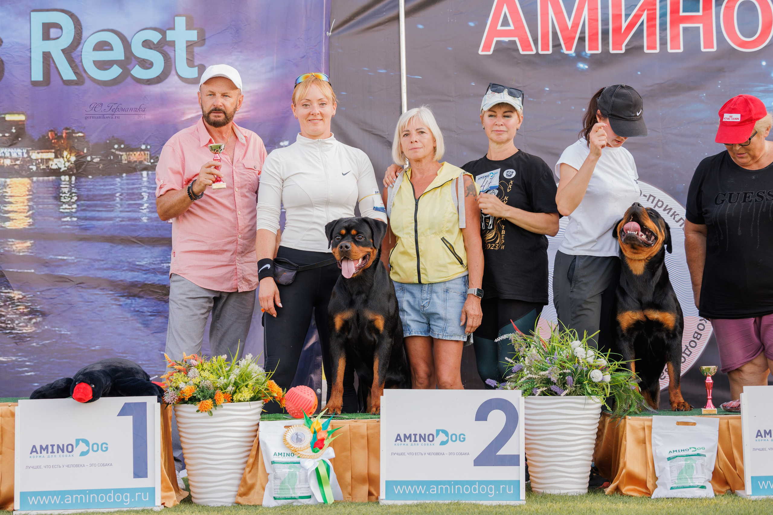 Анапа ротвейлеры 14-15.09.2024. Фотограф-анималист Юлия Германика
