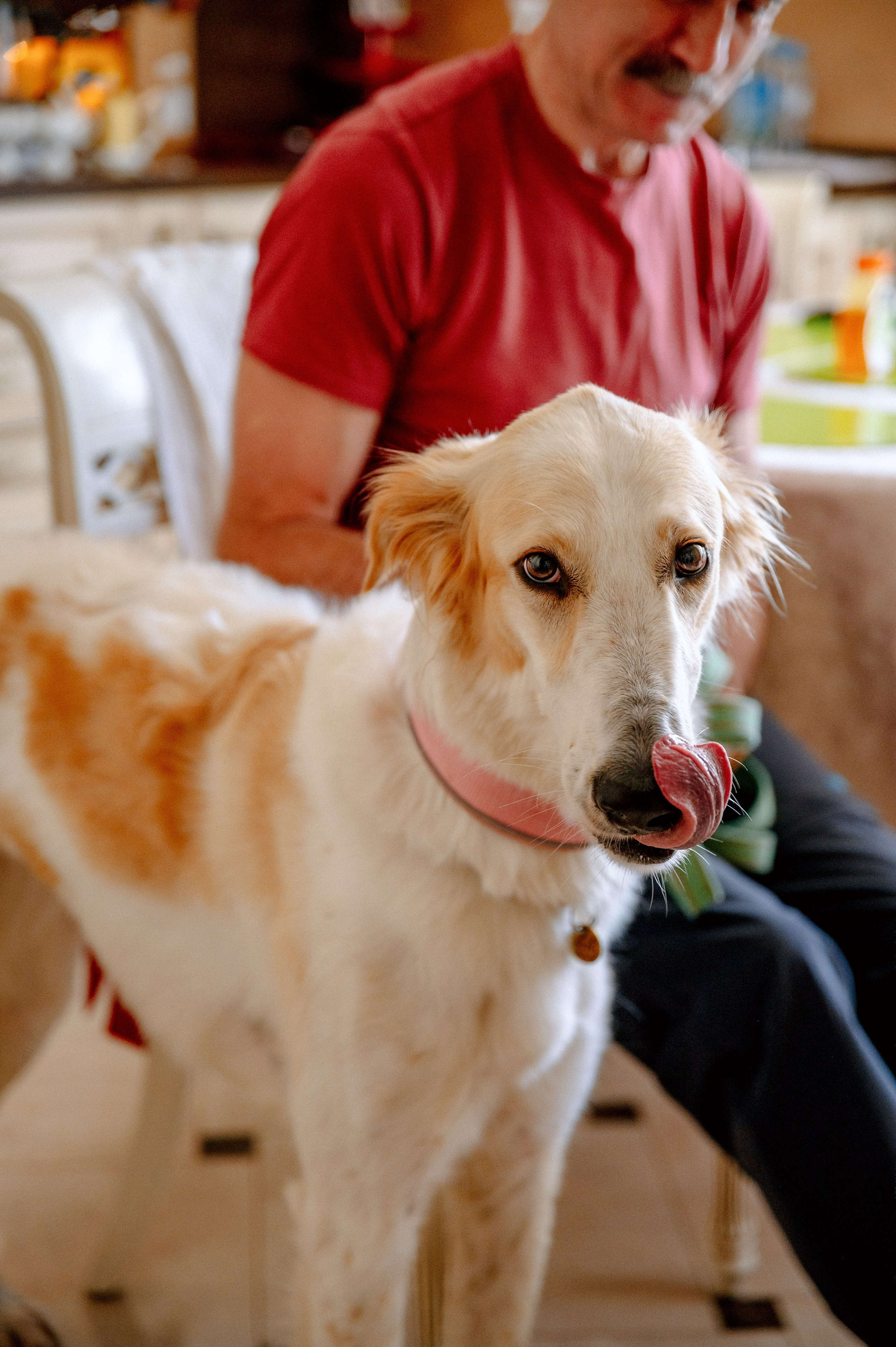 ЯНА и ЖЕНЯ. Шашкова Вероника / Свадебный и семейный фотограф Москва и Ярославль